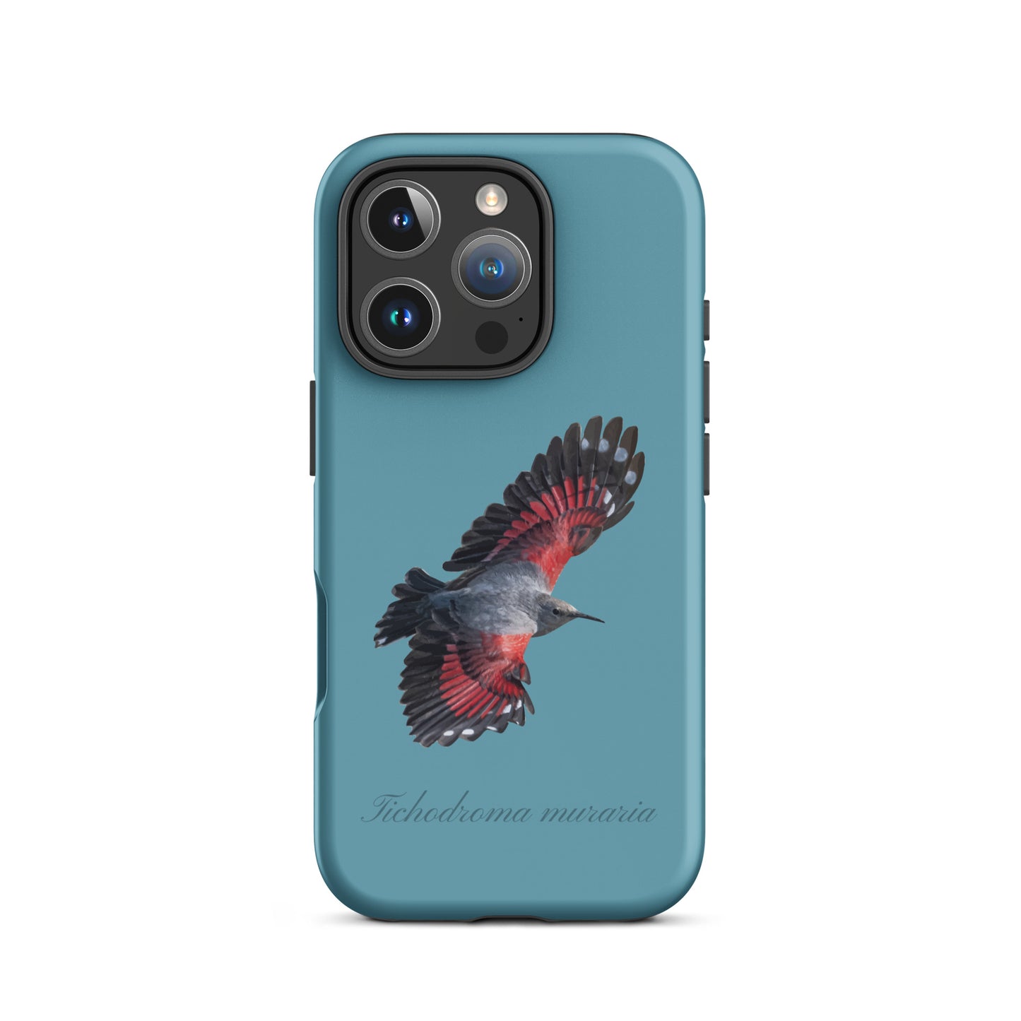 Schutzhülle für Apple iPhone: iPhone Case - Mauerläufer - Gletscherwasserblau