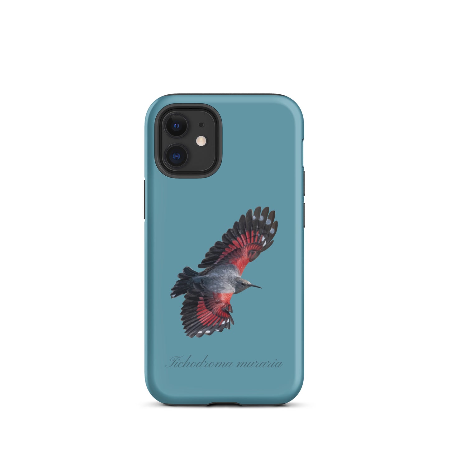 Schutzhülle für Apple iPhone: iPhone Case - Mauerläufer - Gletscherwasserblau