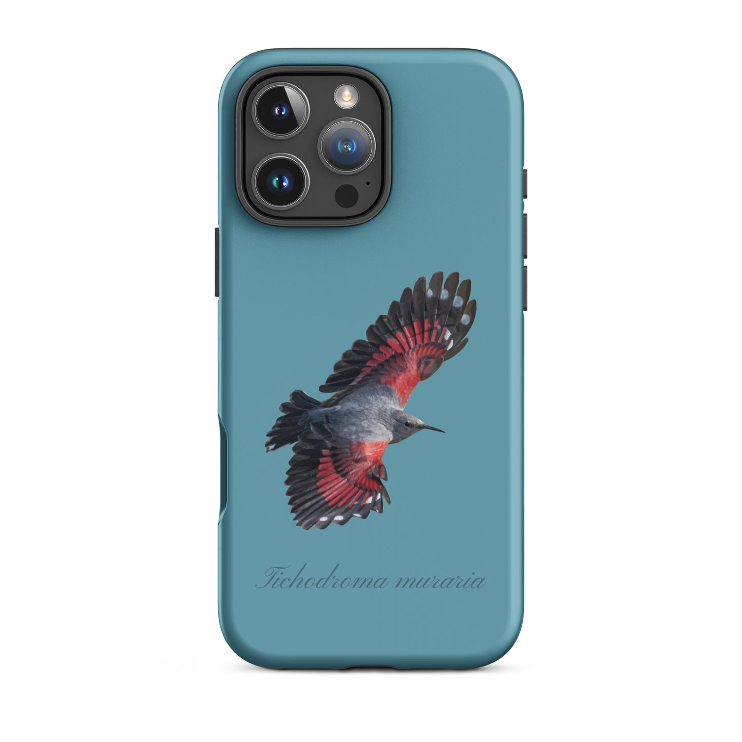 Schutzhülle für Apple iPhone: iPhone Case - Mauerläufer - Gletscherwasserblau