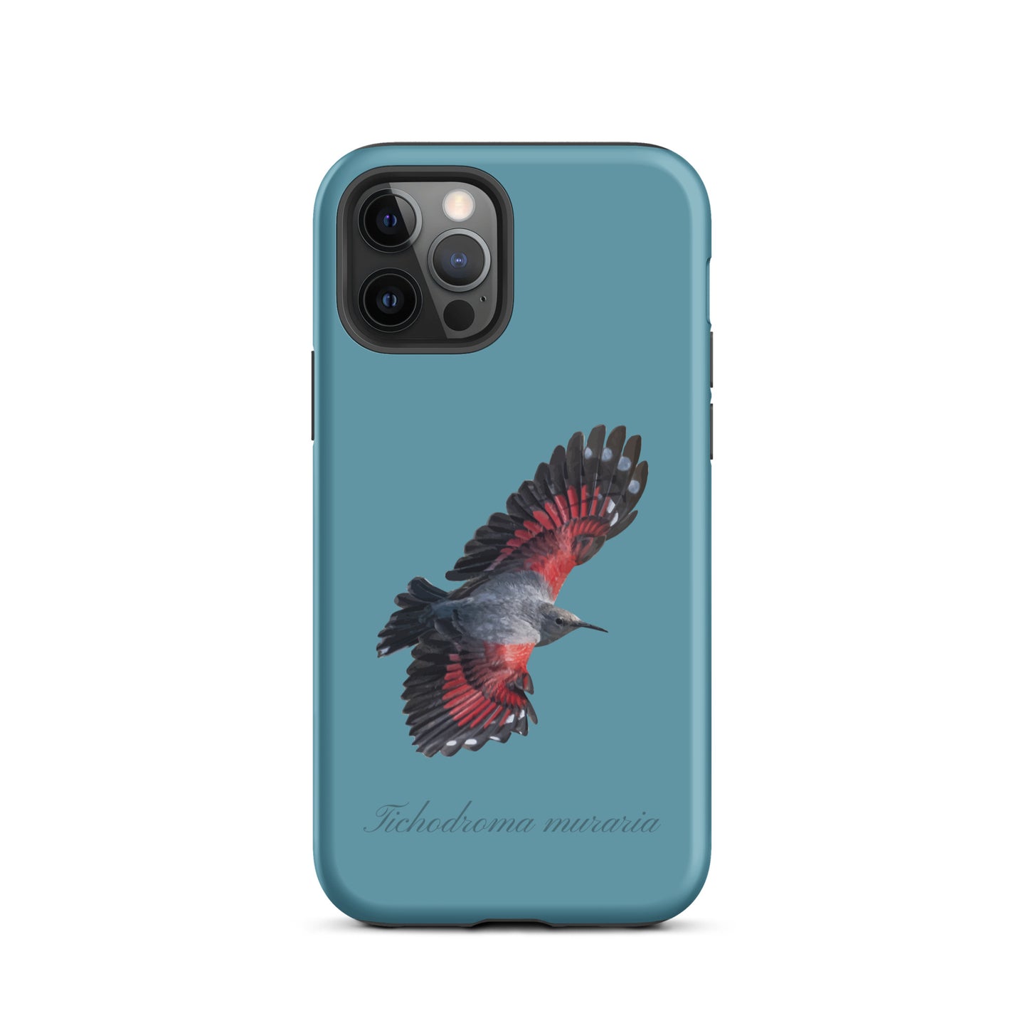 Schutzhülle für Apple iPhone: iPhone Case - Mauerläufer - Gletscherwasserblau