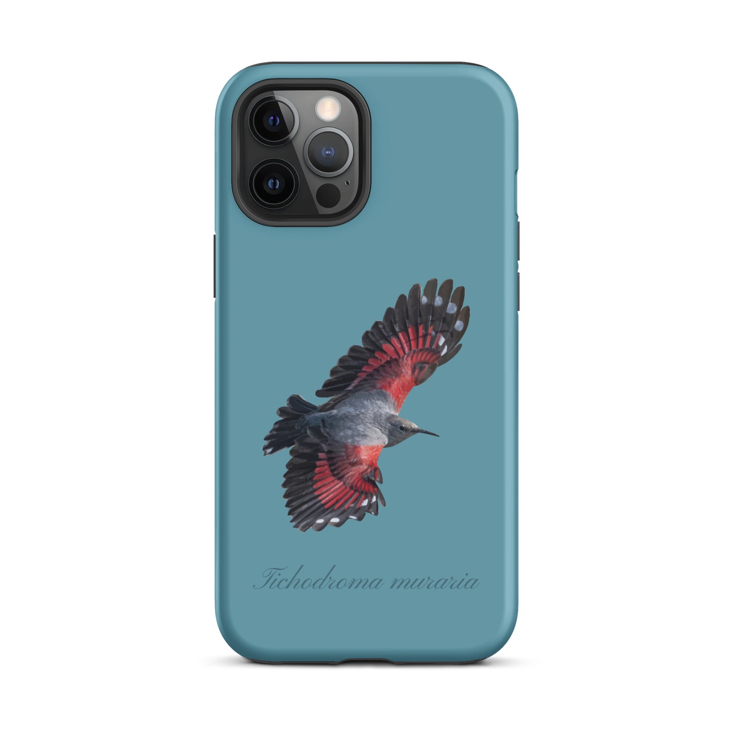 Schutzhülle für Apple iPhone: iPhone Case - Mauerläufer - Gletscherwasserblau