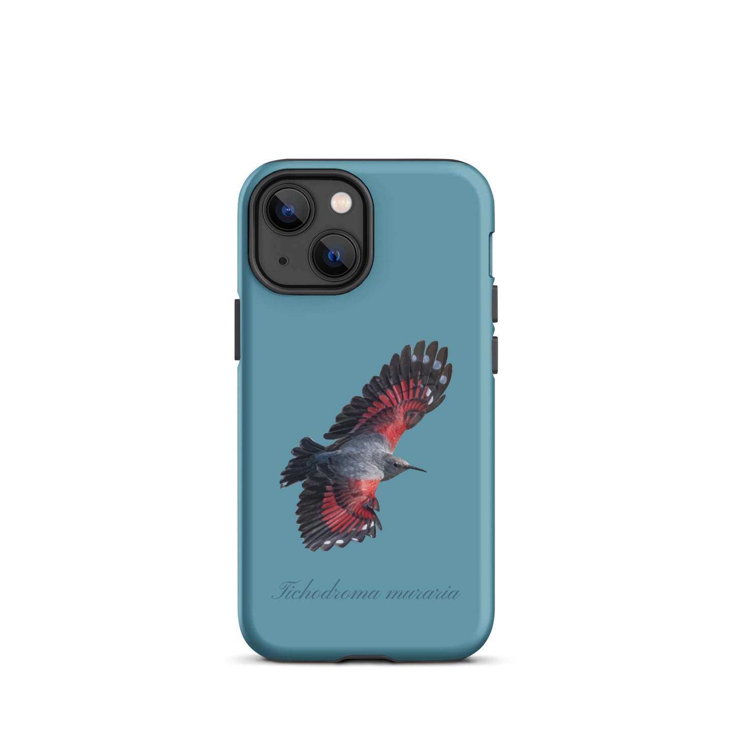 Schutzhülle für Apple iPhone: iPhone Case - Mauerläufer - Gletscherwasserblau