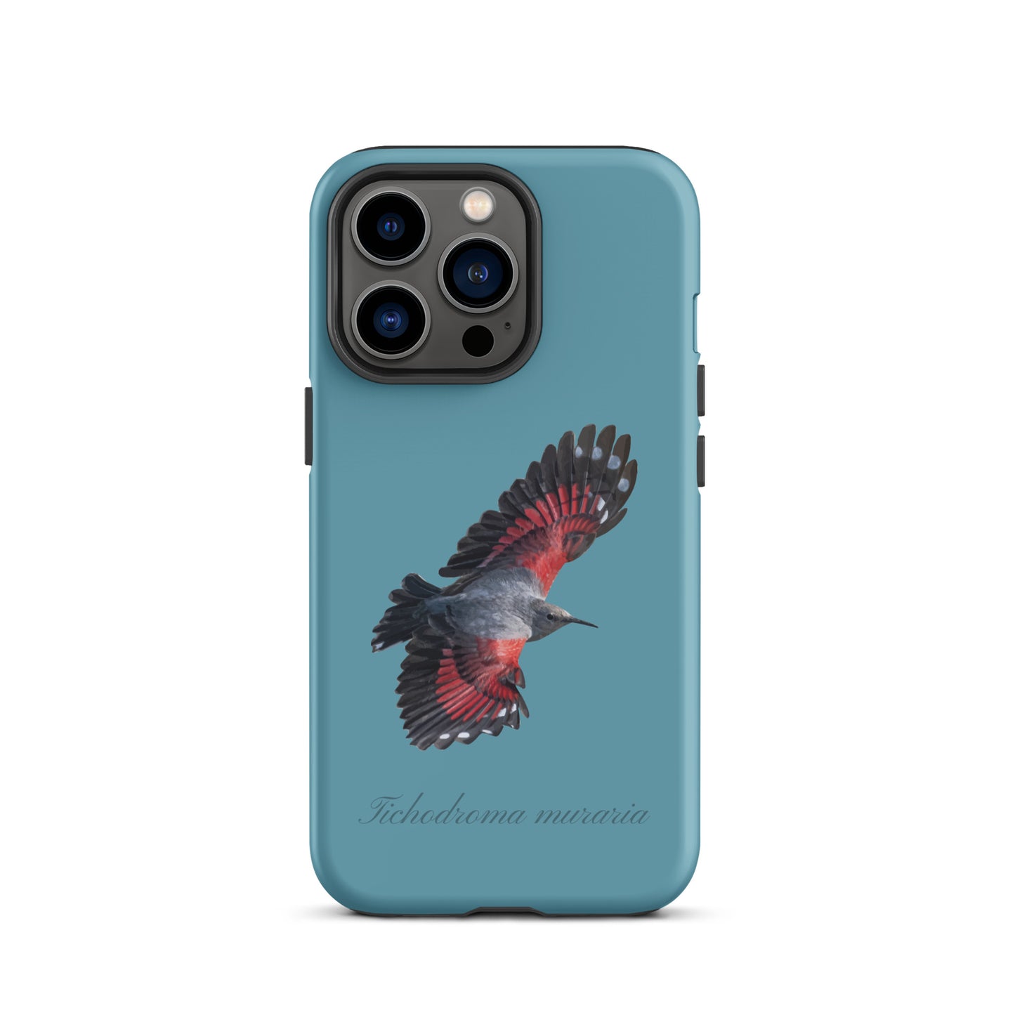 Schutzhülle für Apple iPhone: iPhone Case - Mauerläufer - Gletscherwasserblau