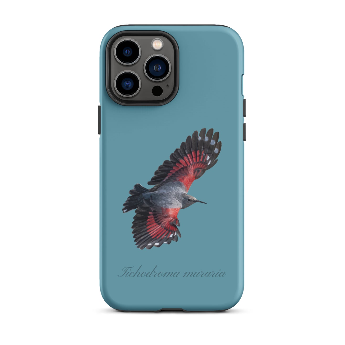 Schutzhülle für Apple iPhone: iPhone Case - Mauerläufer - Gletscherwasserblau