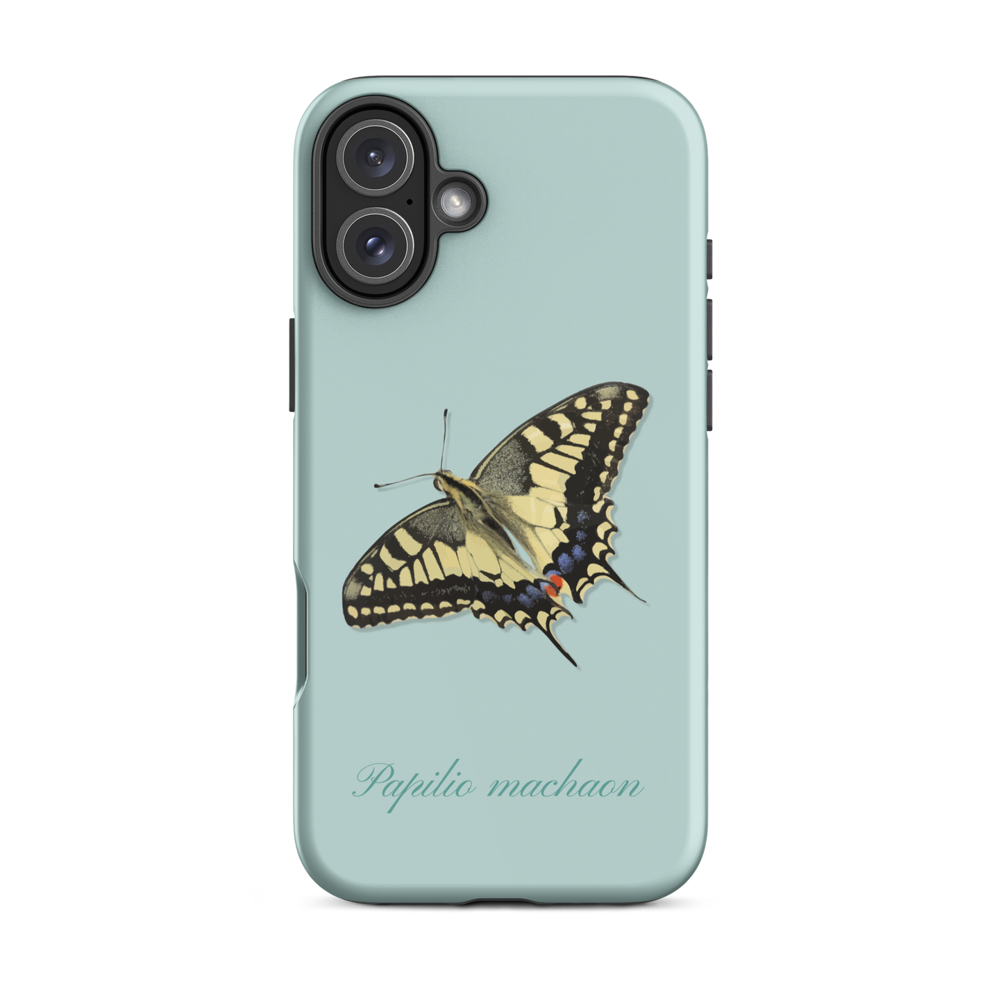 iPhone Hülle im Schwalbenschwanz Design in Hellblau, seitliche Ansicht.