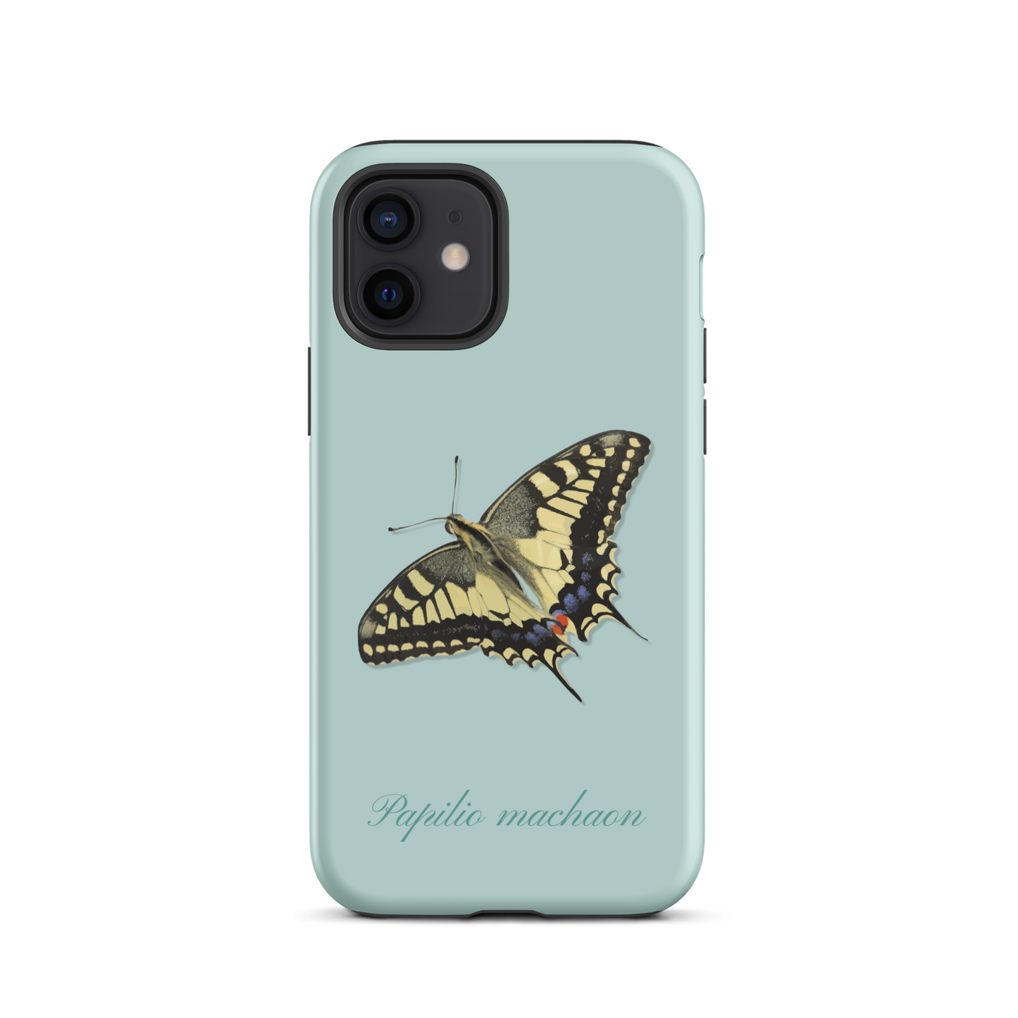 iPhone Case in Hellblau mit Schwalbenschwanz-Muster, schützende Handyhülle aus robustem Material.