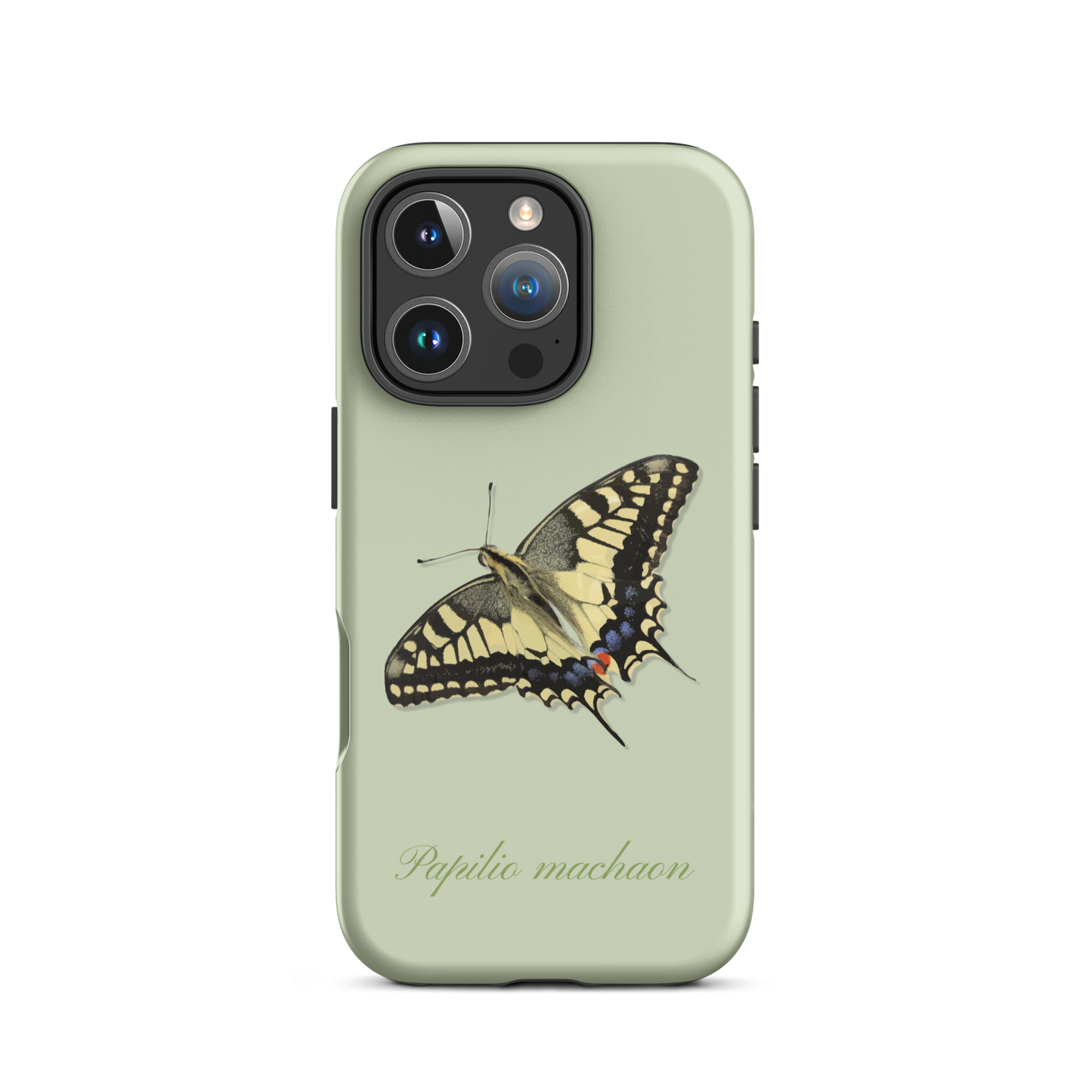 Hellgrüne iPhone-Hülle mit Schwalbenschwanz-Muster, schützende Silikonhülle für iPhone