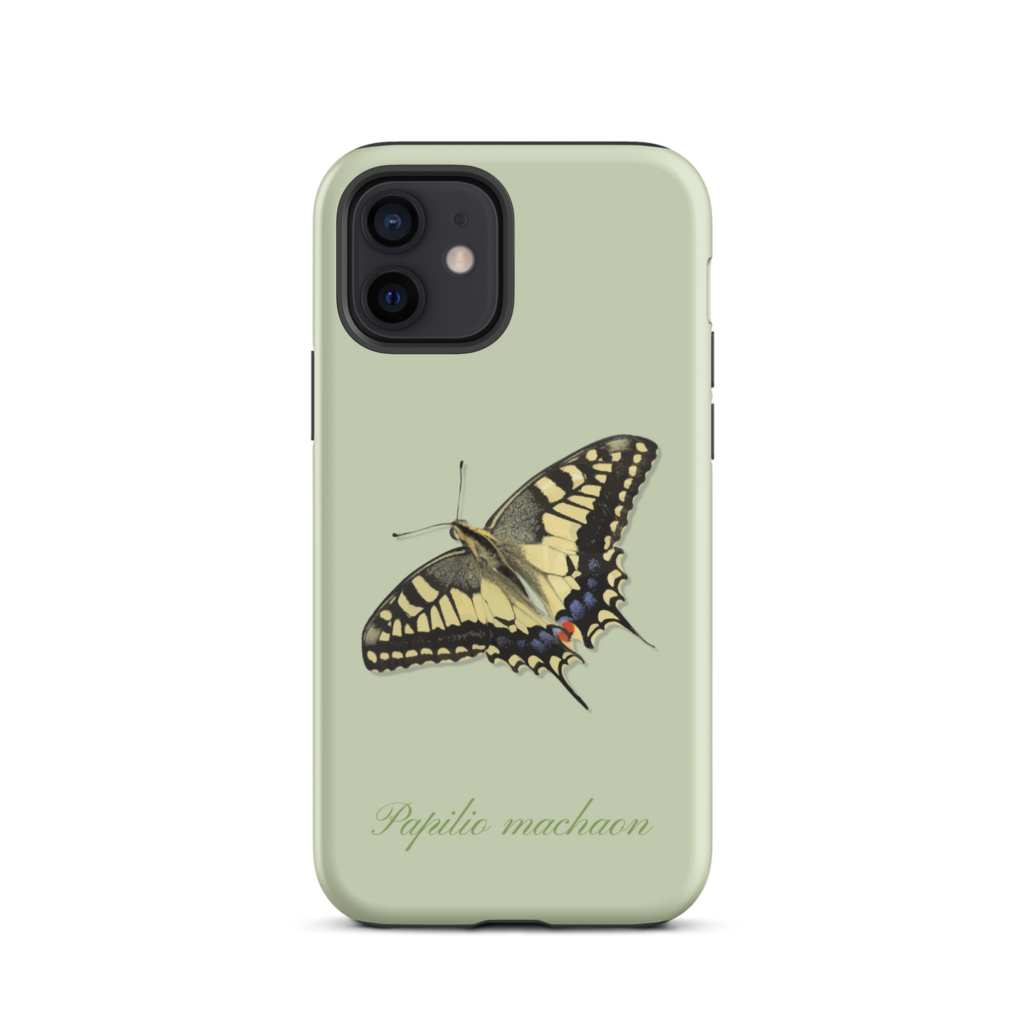 iPhone Case Schwalbenschwanz in Hellgrün, Muster mit grünen und weißen Schwalbenschwanz-Motiven