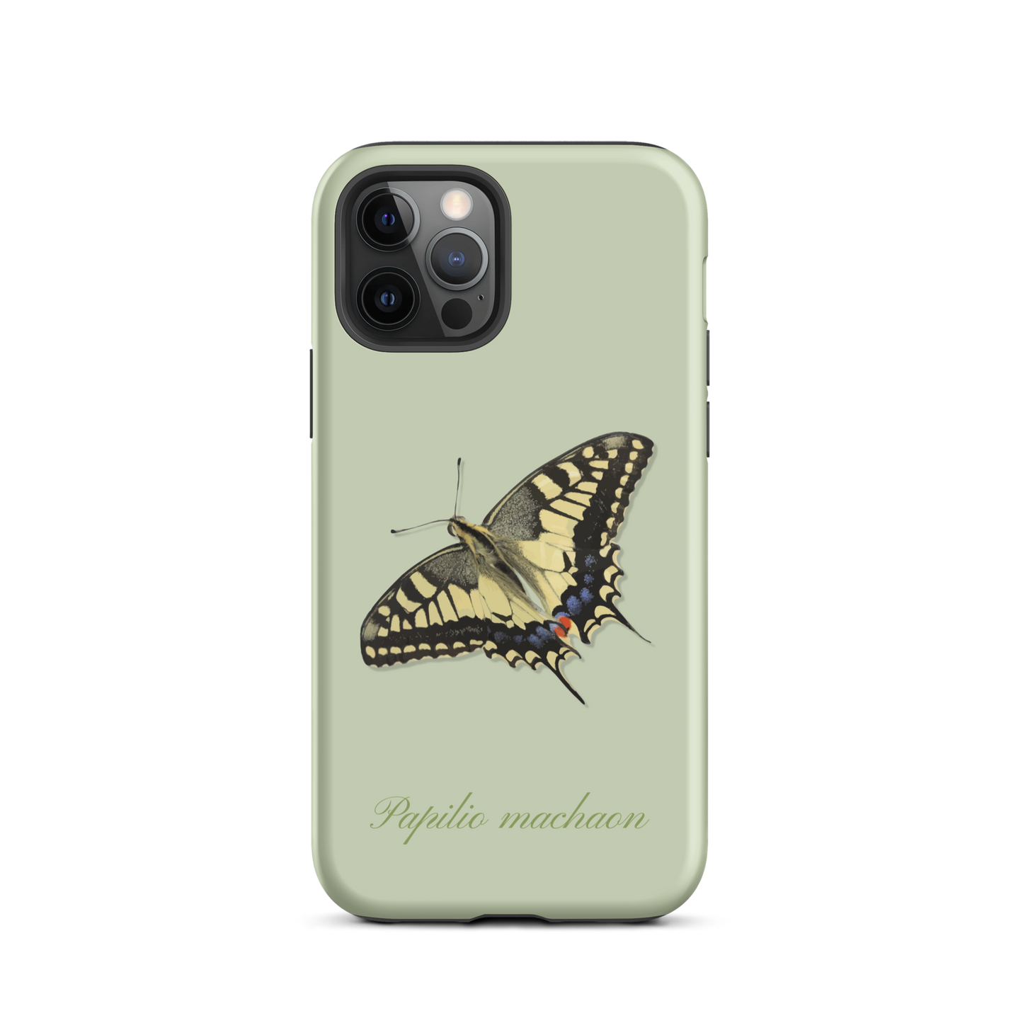 Hellgrüne iPhone Hülle mit Schwalbenschwanz-Design, seitliche Ansicht.