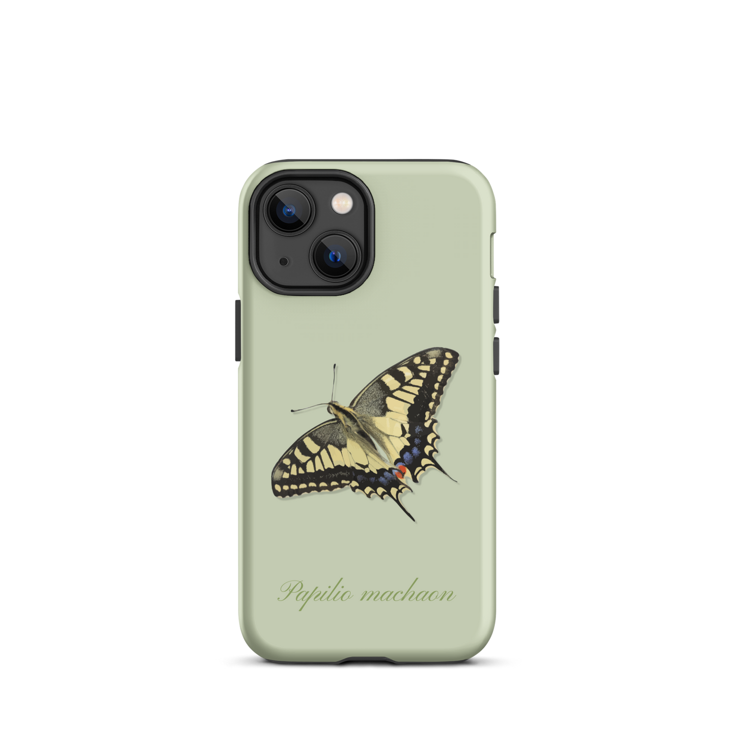 iPhone Case Schwalbenschwanz in Hellgrün mit Naturmotiv für iPhone 12