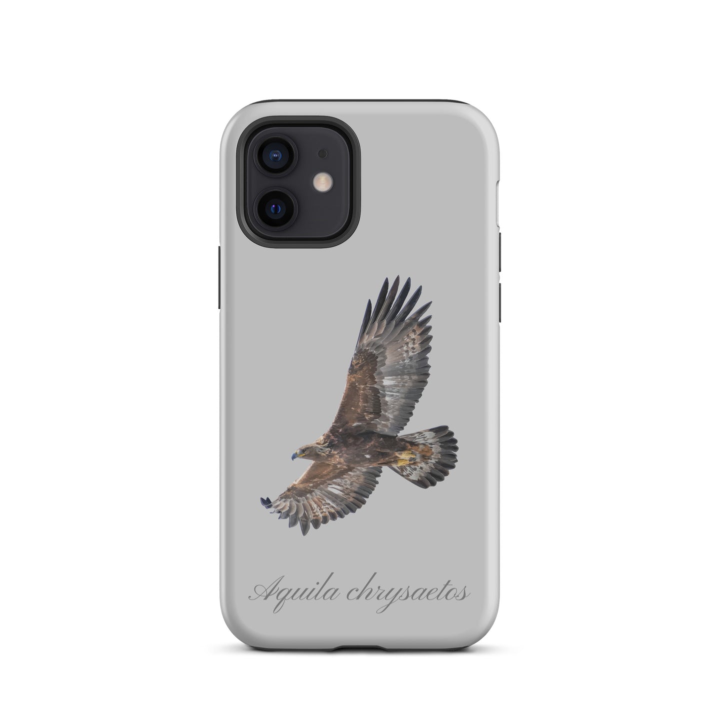 Schutzhülle für Apple iPhone: iPhone Case - Steinadler - Grau