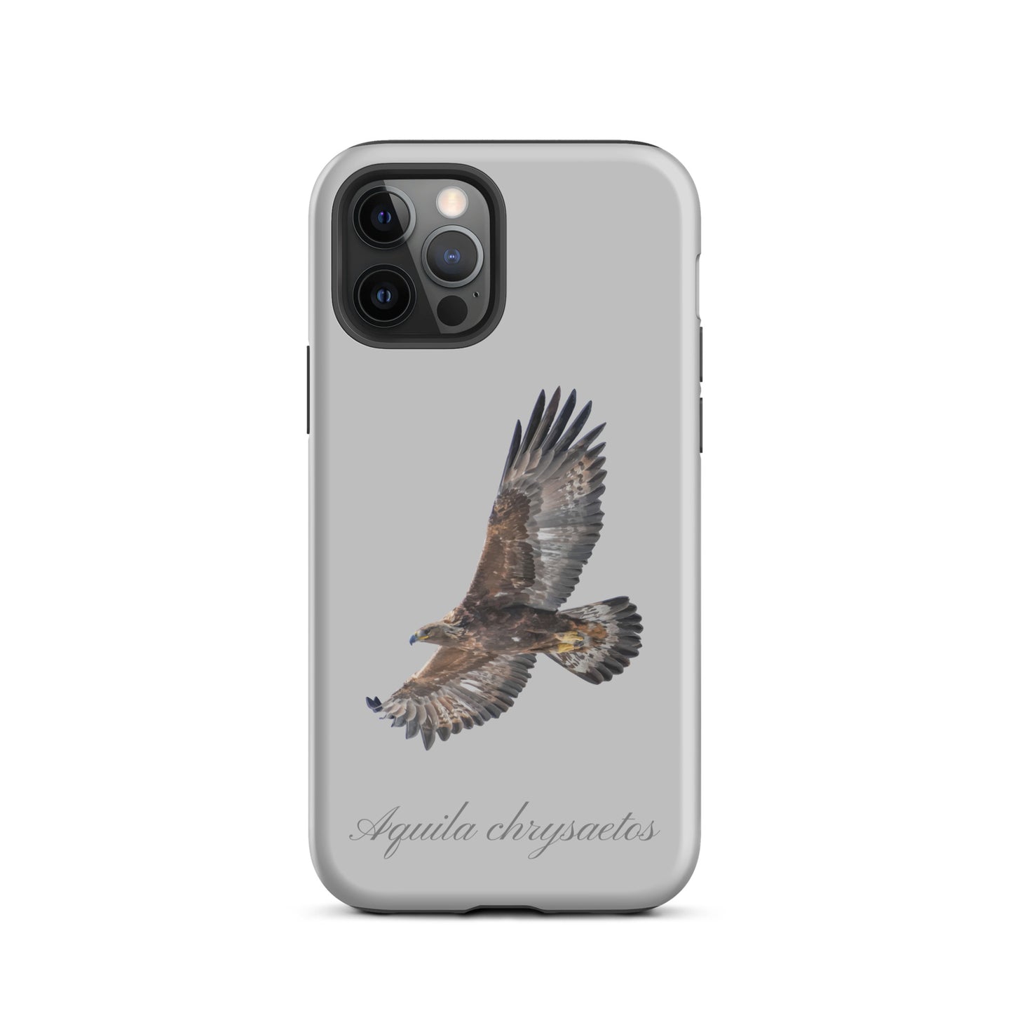 Schutzhülle für Apple iPhone: iPhone Case - Steinadler - Grau