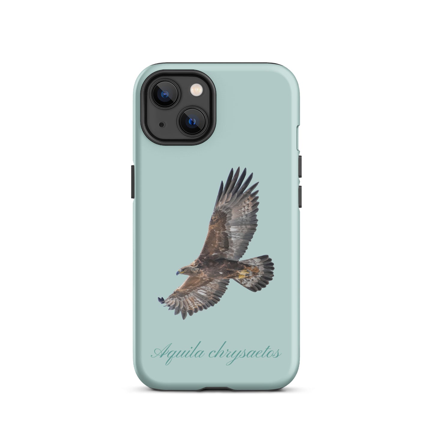 Schutzhülle für Apple iPhone: iPhone Case - Steinadler - Hellblau