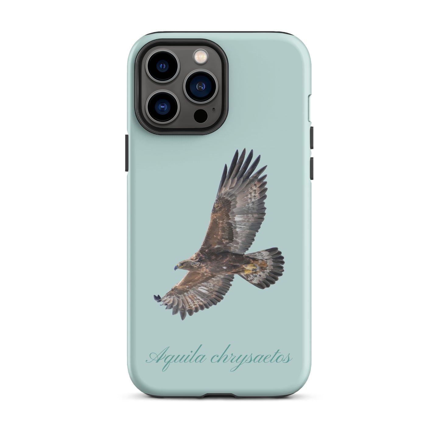 Hellblaue iPhone-Hülle mit Steinadler-Design, Schutzhülle aus robustem Material.