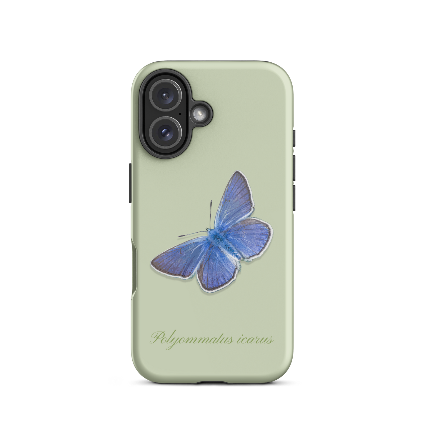 Matte Handyhülle in Hellgrün für iPhone mit Bläuling-Motiv, Vorderansicht