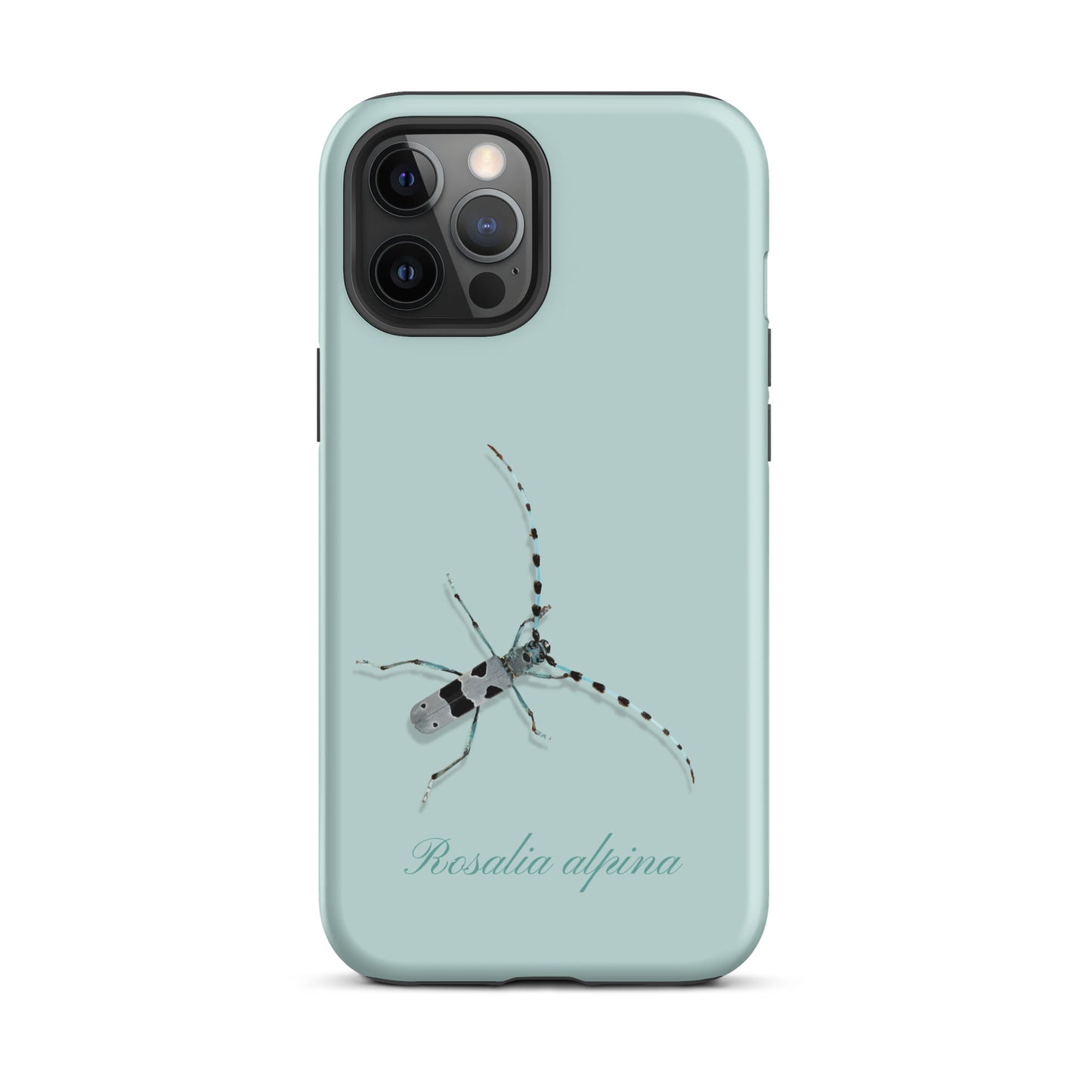 iPhone Case Alpenbock in Hellblau mit Alpenmotiv und Holzoptik