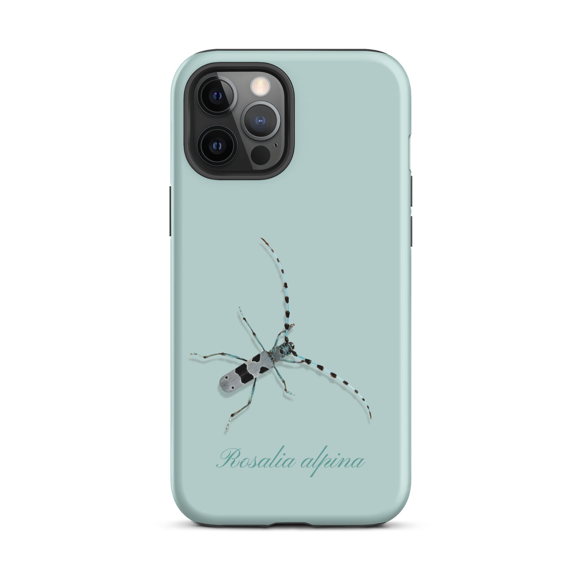 iPhone Case Alpenbock in Hellblau mit Alpenmotiv und Holzoptik