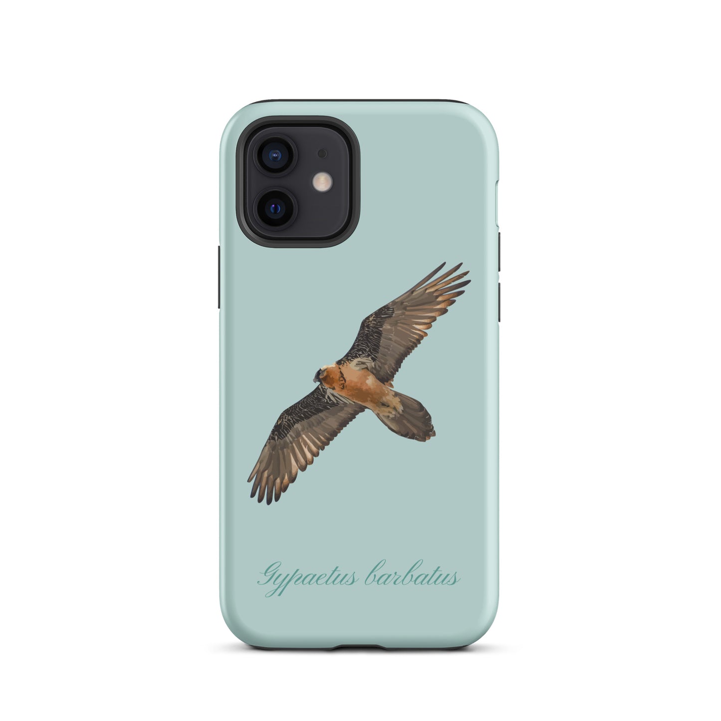 iPhone-Hülle mit Bartgeier-Motiv in Hellblau, Schutzhülle aus robustem Material für Apple iPhone.