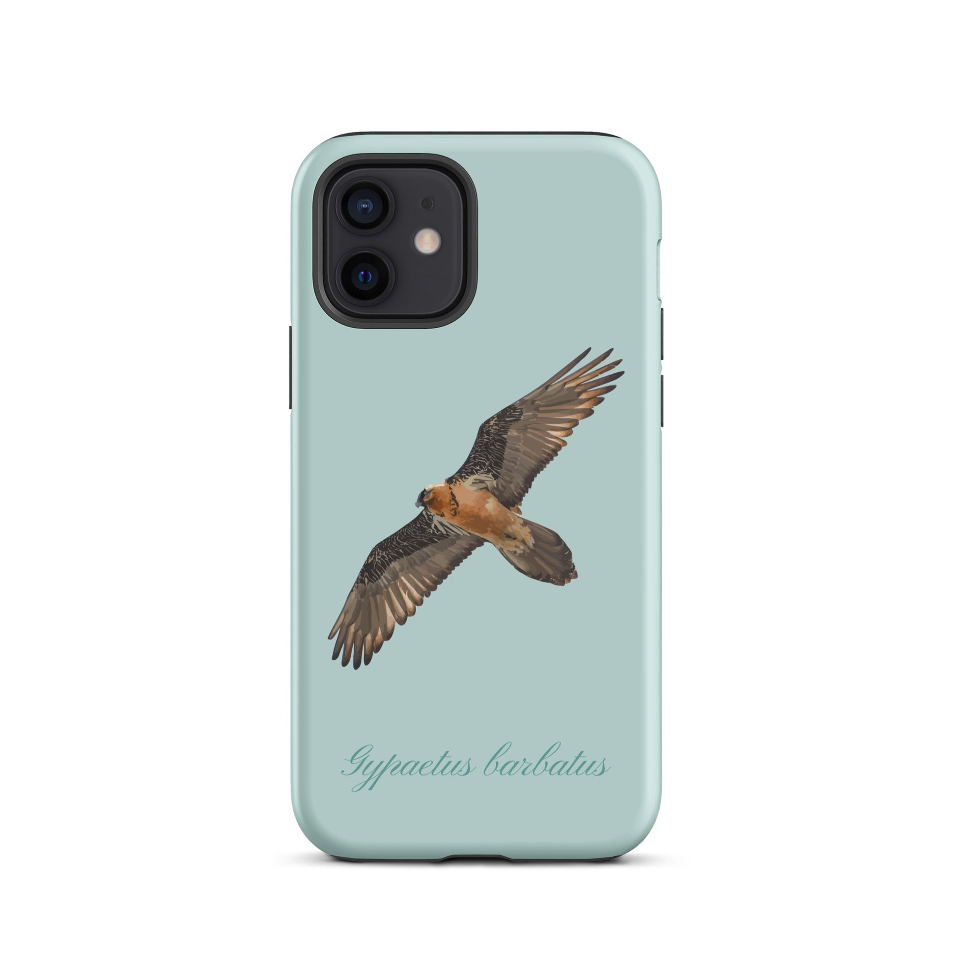 iPhone-Hülle mit Bartgeier-Motiv in Hellblau, Schutzhülle aus robustem Material für Apple iPhone.