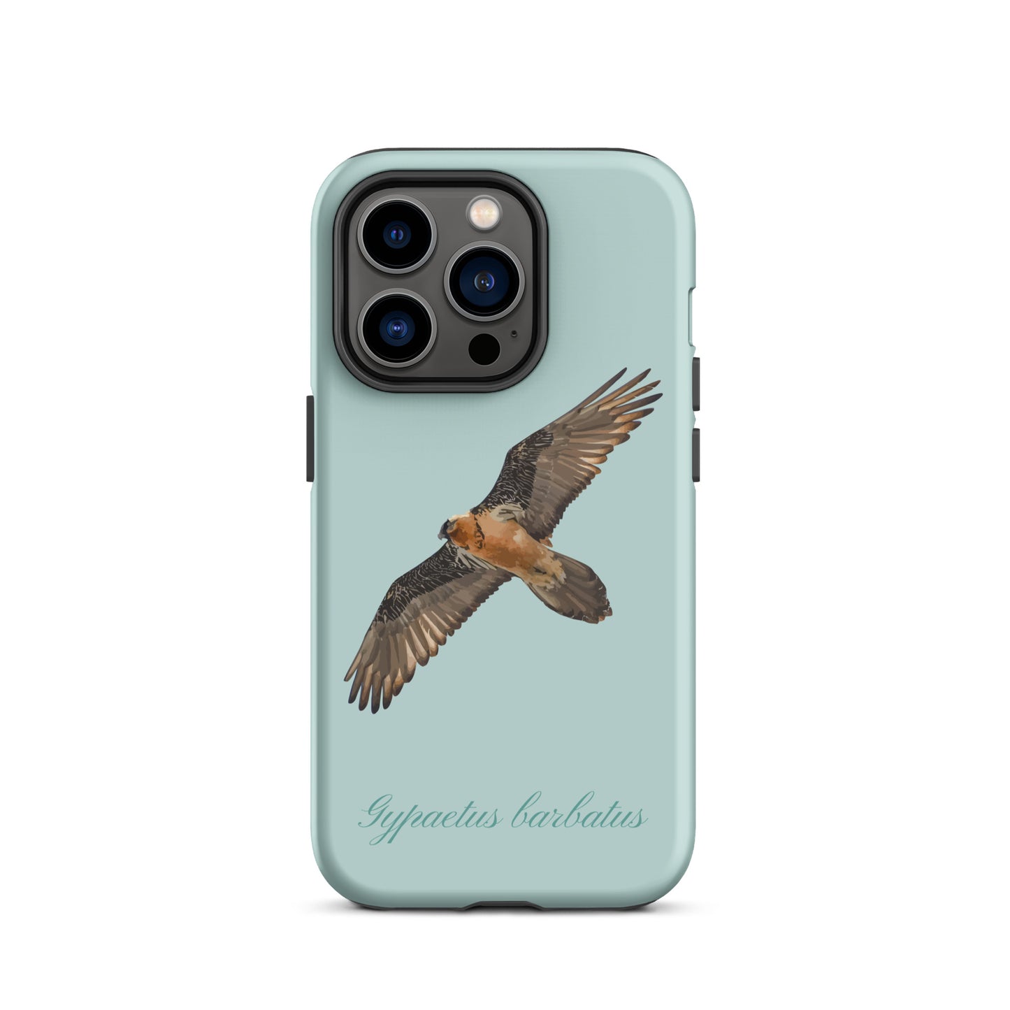 Hellblaue iPhone-Hülle mit Bartgeier-Motiv aus robustem Kunststoff, passend für Apple iPhone.