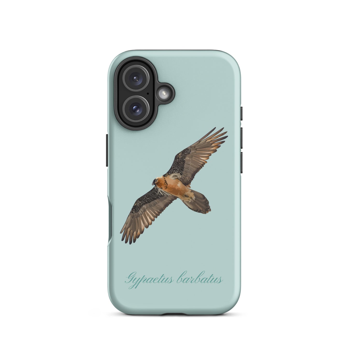 Handyhülle für iPhone mit Bartgeier-Motiv in Hellblau, robustes Design, präzise Aussparungen