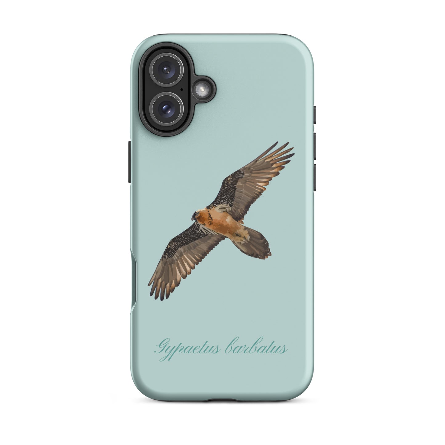 Hellblaue iPhone Hülle mit Bartgeier-Motiv, Schutzhülle aus robustem Material für Apple iPhone