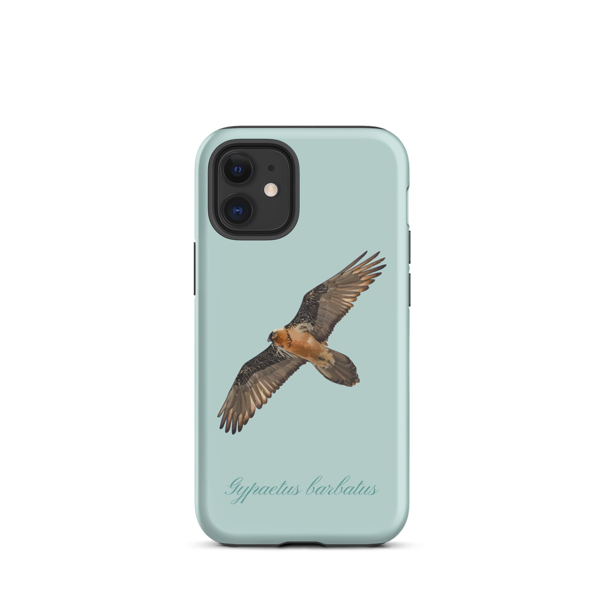 Bartgeier iPhone Hülle in Hellblau, Schutzhülle aus robustem Material mit detailliertem Vogel-Design.