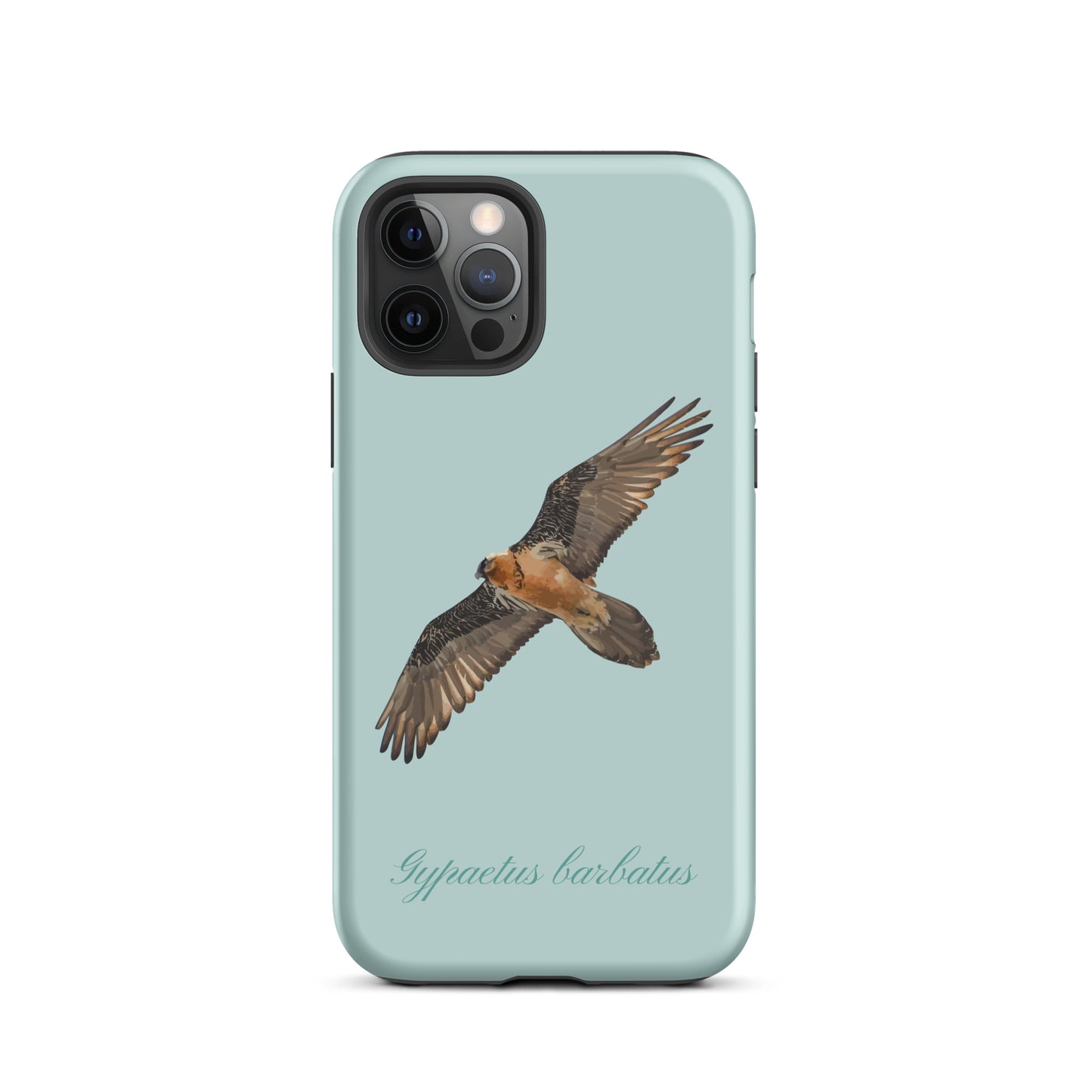iPhone Hülle mit Bartgeier Motiv in Hellblau, Seitenansicht, aus Silikon