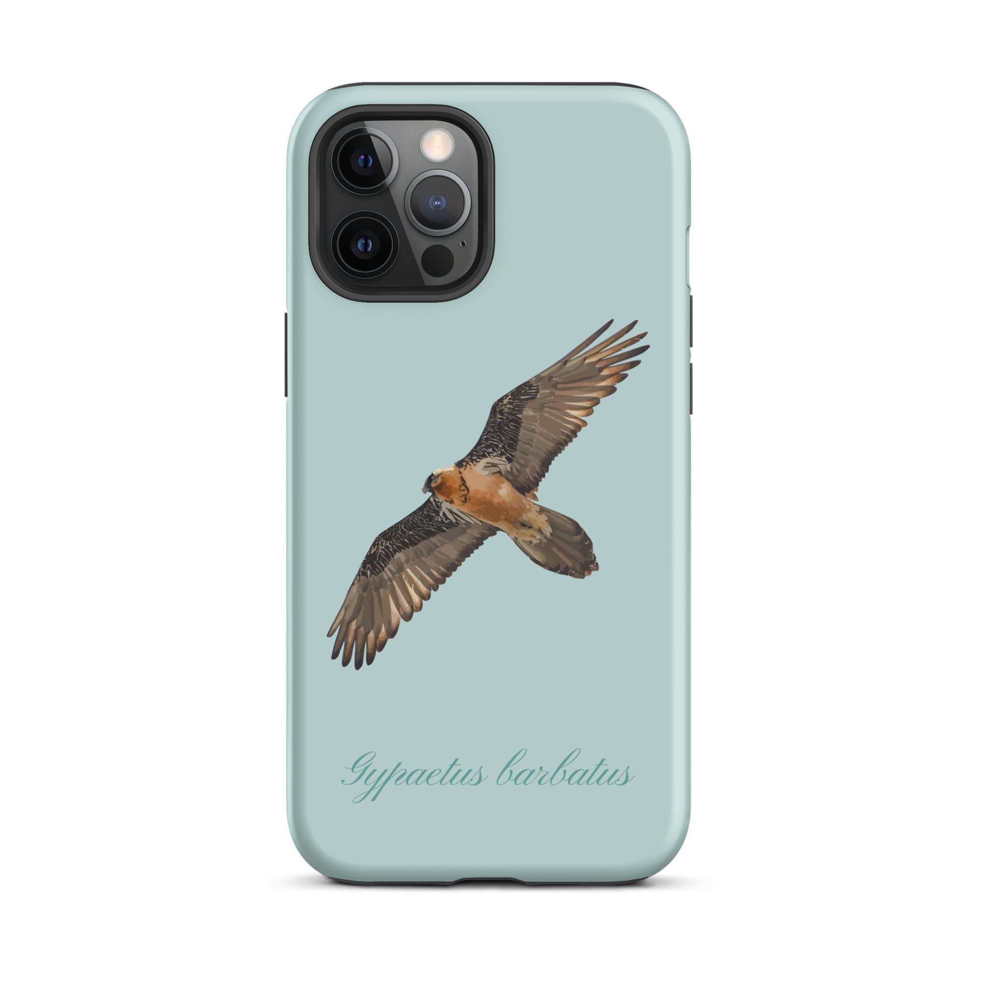 Hellblaue iPhone Hülle mit Bartgeier-Motiv, stoßfest und schlank
