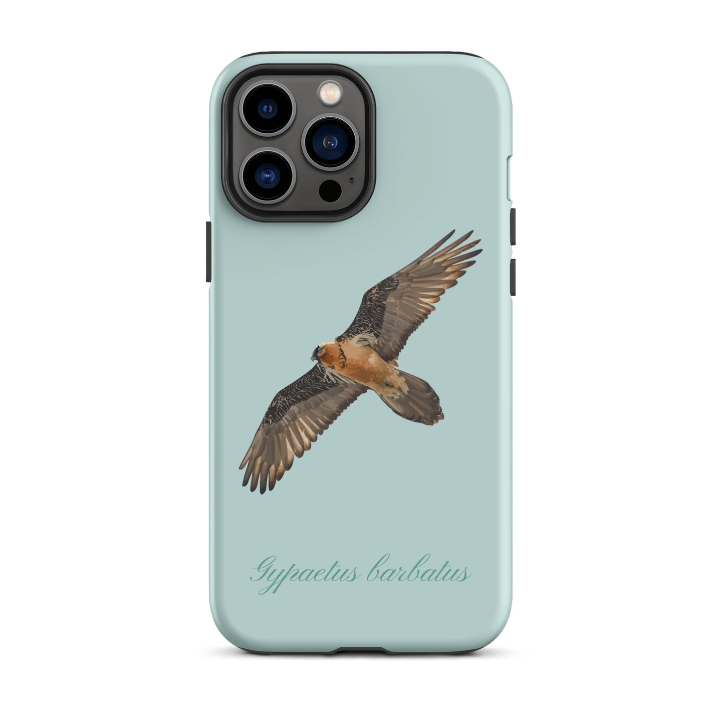 iPhone-Hülle mit Bartgeier-Motiv in Hellblau, Schutzhülle aus robustem Kunststoff für Apple iPhone.