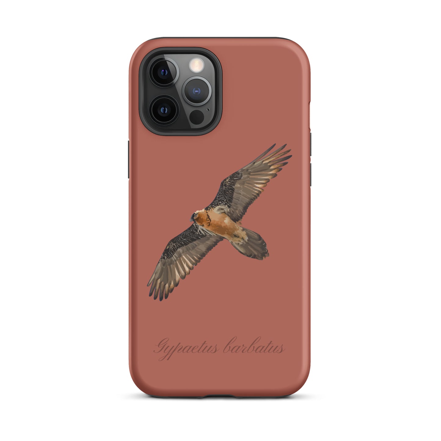 Handyhülle für iPhone mit Bartgeier-Motiv in Ziegelrot, robustes Design.