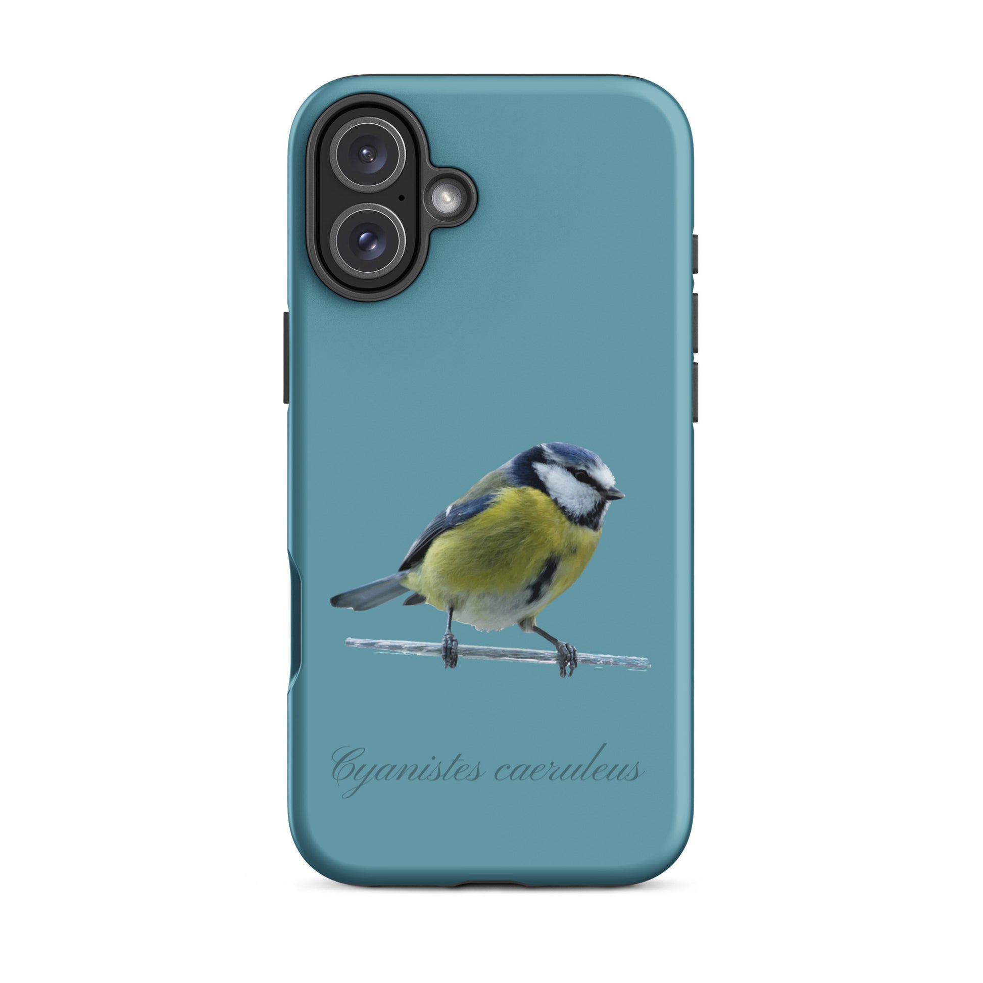 Schutzhülle für Apple iPhone: iPhone Case - Blaumeise - Gletscherwasserblau 