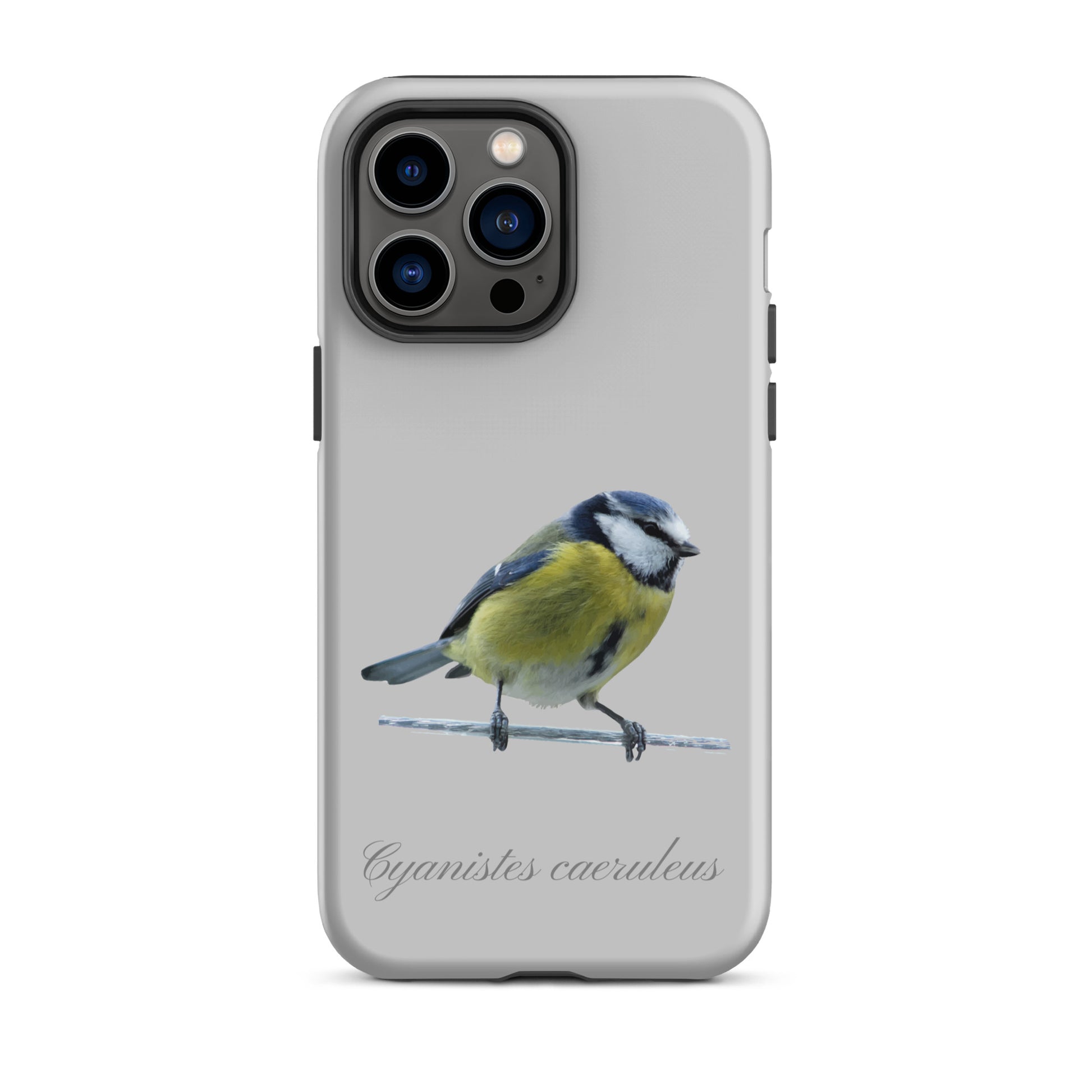 Schutzhülle für Apple iPhone: iPhone Case - Blaumeise - Grau 