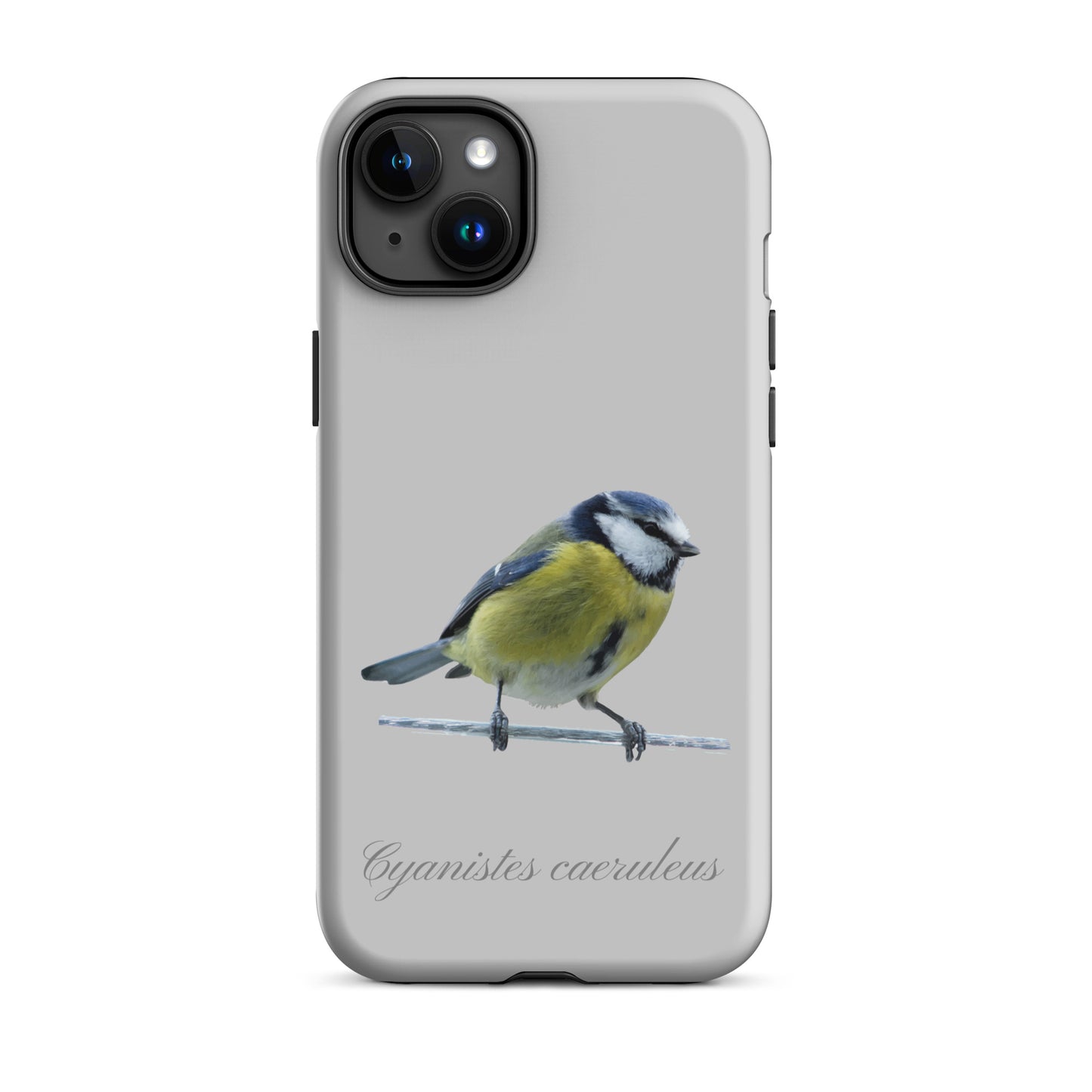 Schutzhülle für Apple iPhone: iPhone Case - Blaumeise - Grau 