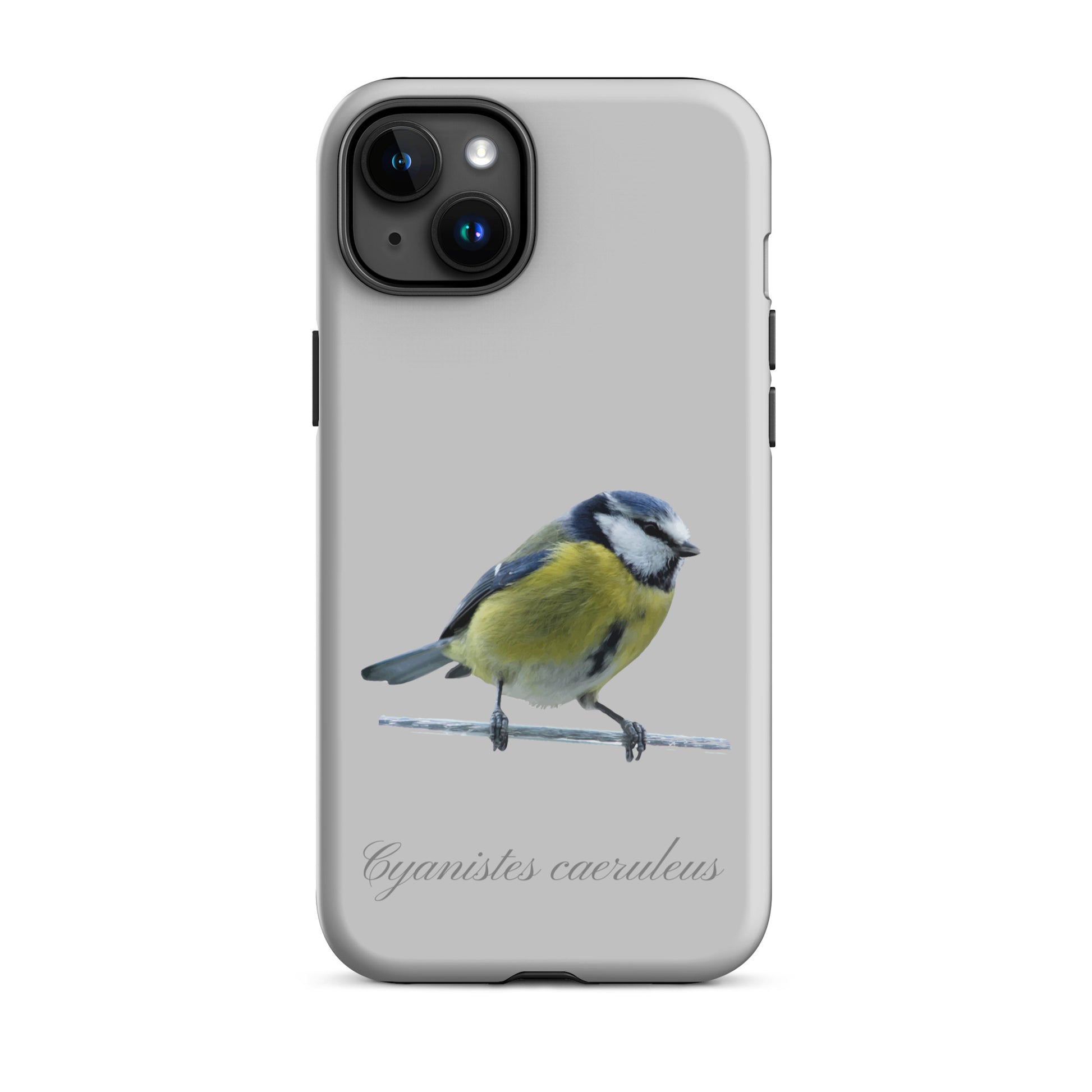 Schutzhülle für Apple iPhone: iPhone Case - Blaumeise - Grau 