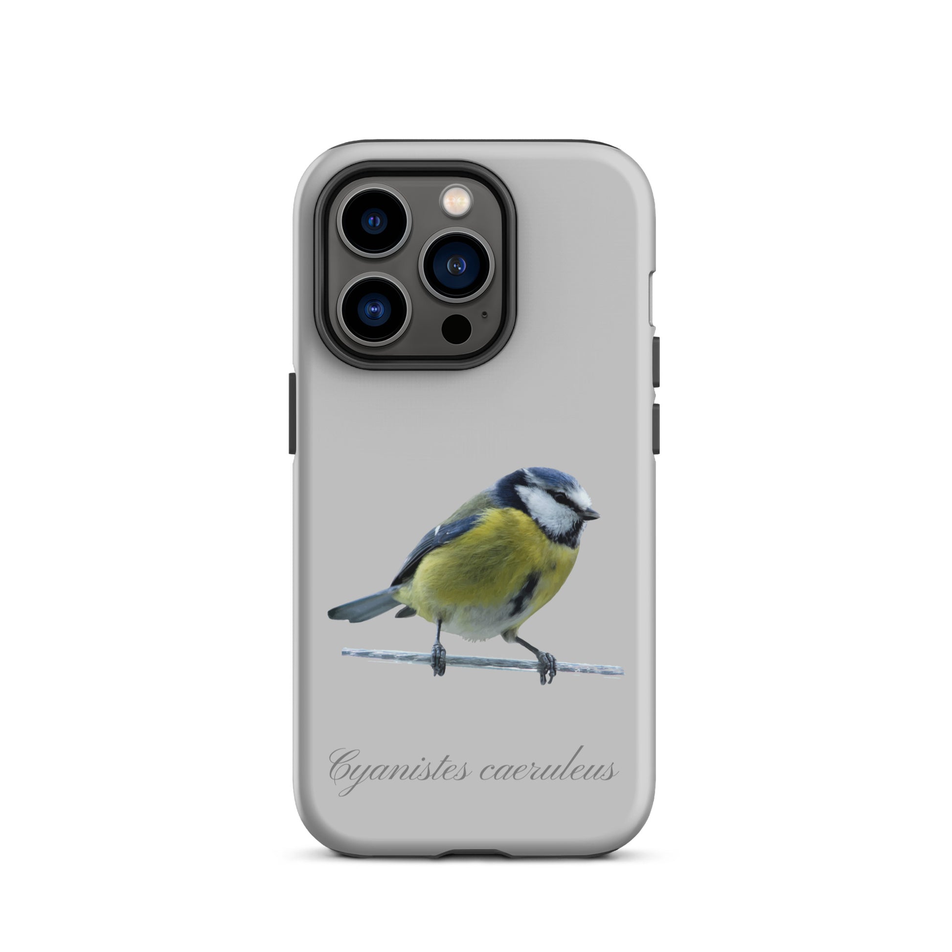 Schutzhülle für Apple iPhone: iPhone Case - Blaumeise - Grau 