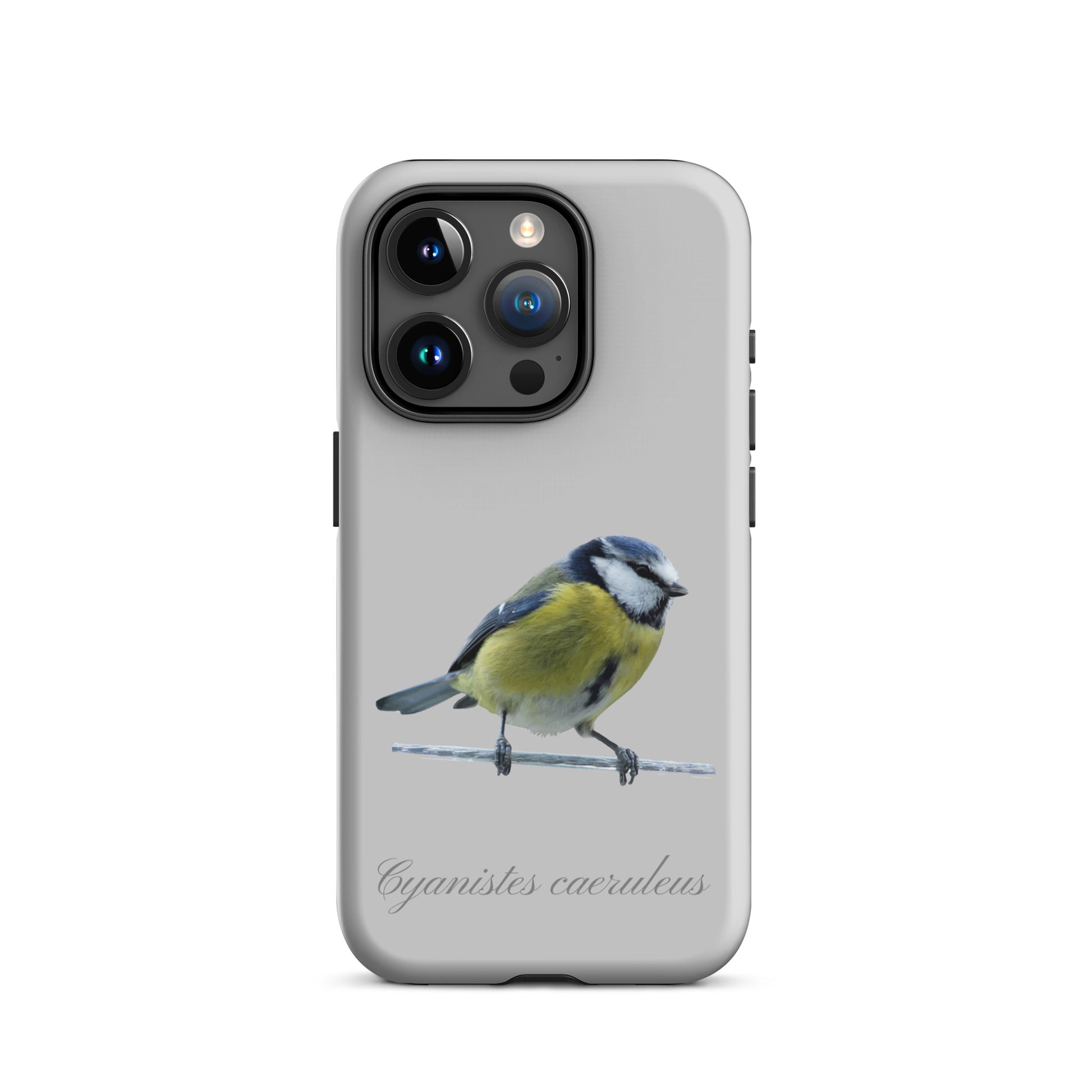 Schutzhülle für Apple iPhone: iPhone Case - Blaumeise - Grau 