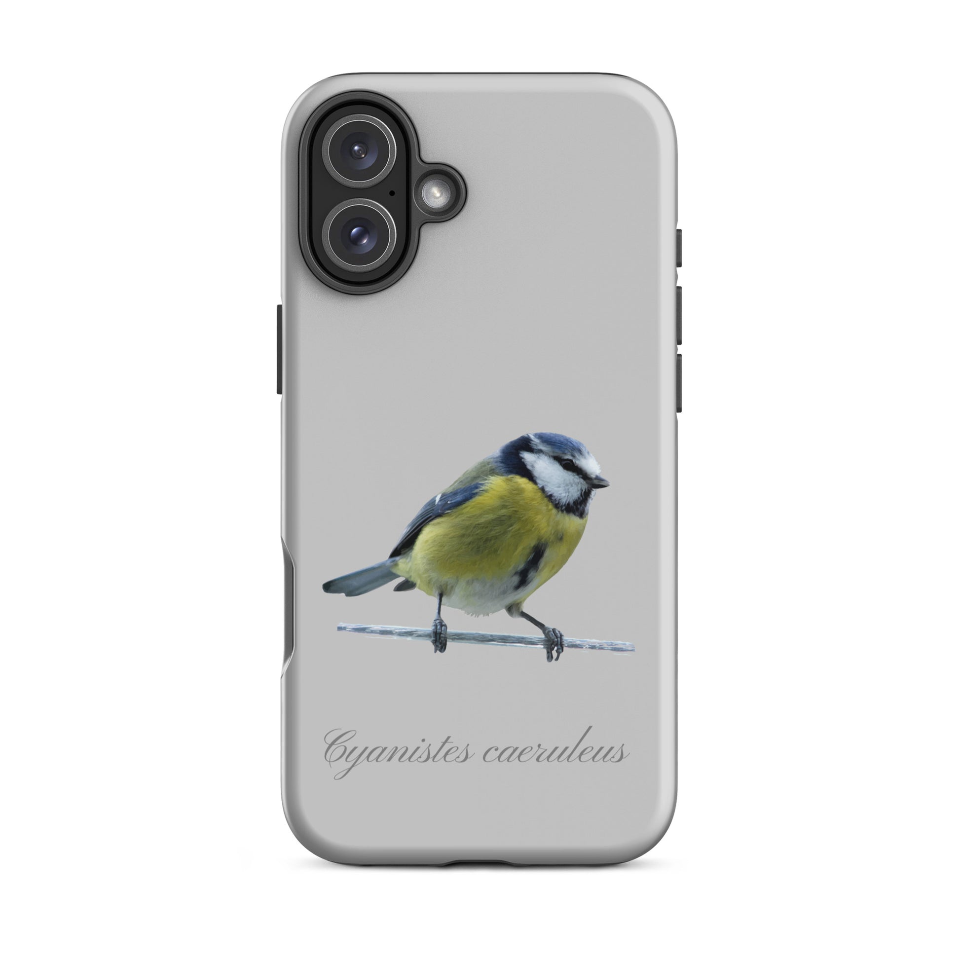 Schutzhülle für Apple iPhone: iPhone Case - Blaumeise - Grau 