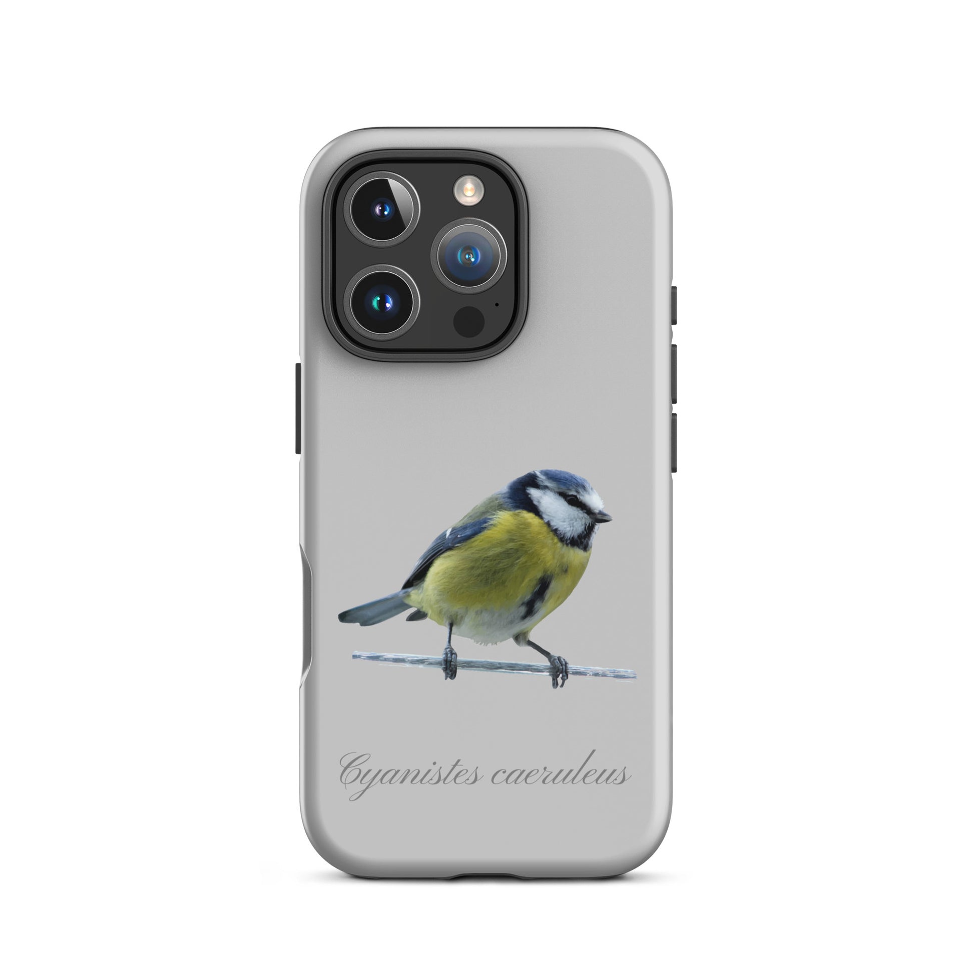 Schutzhülle für Apple iPhone: iPhone Case - Blaumeise - Grau 