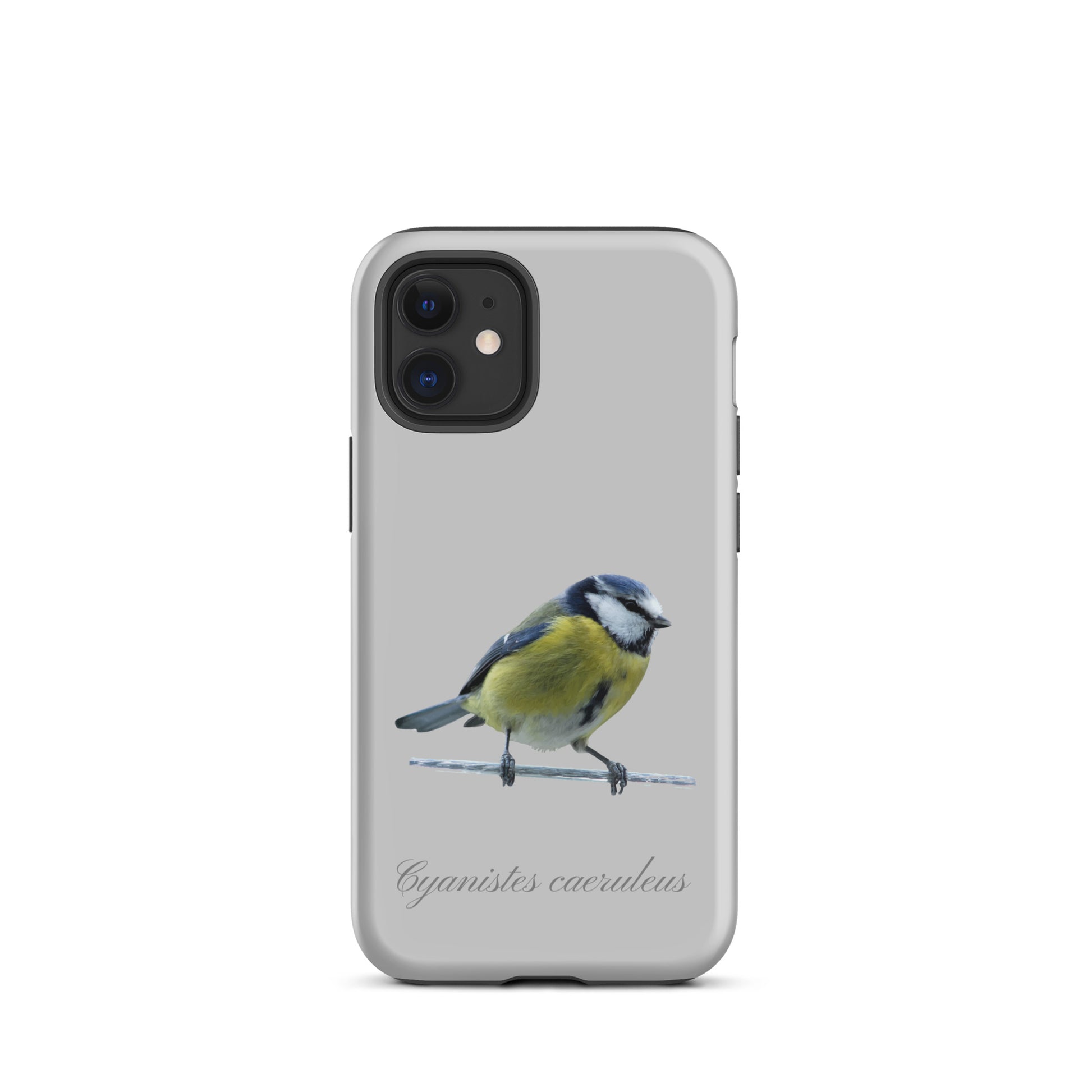 Schutzhülle für Apple iPhone: iPhone Case - Blaumeise - Grau 