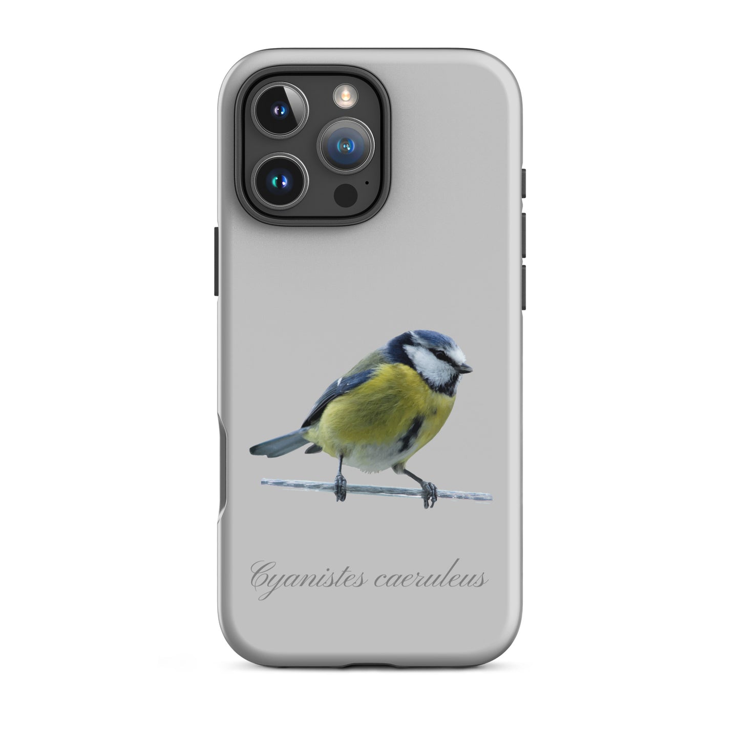 Schutzhülle für Apple iPhone: iPhone Case - Blaumeise - Grau 