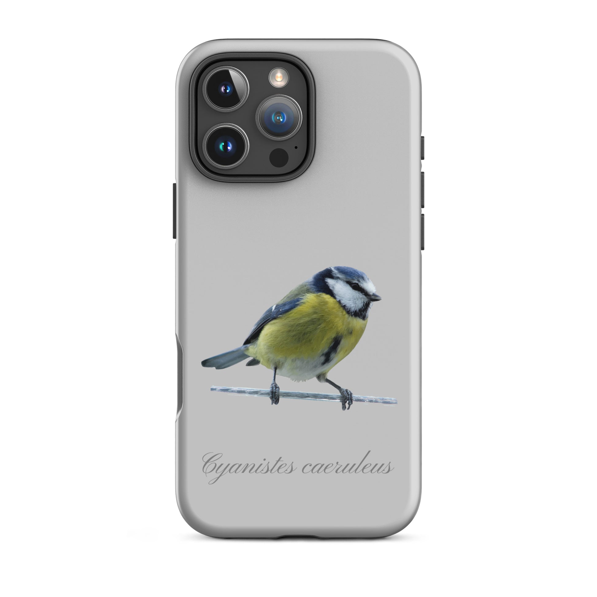 Schutzhülle für Apple iPhone: iPhone Case - Blaumeise - Grau 