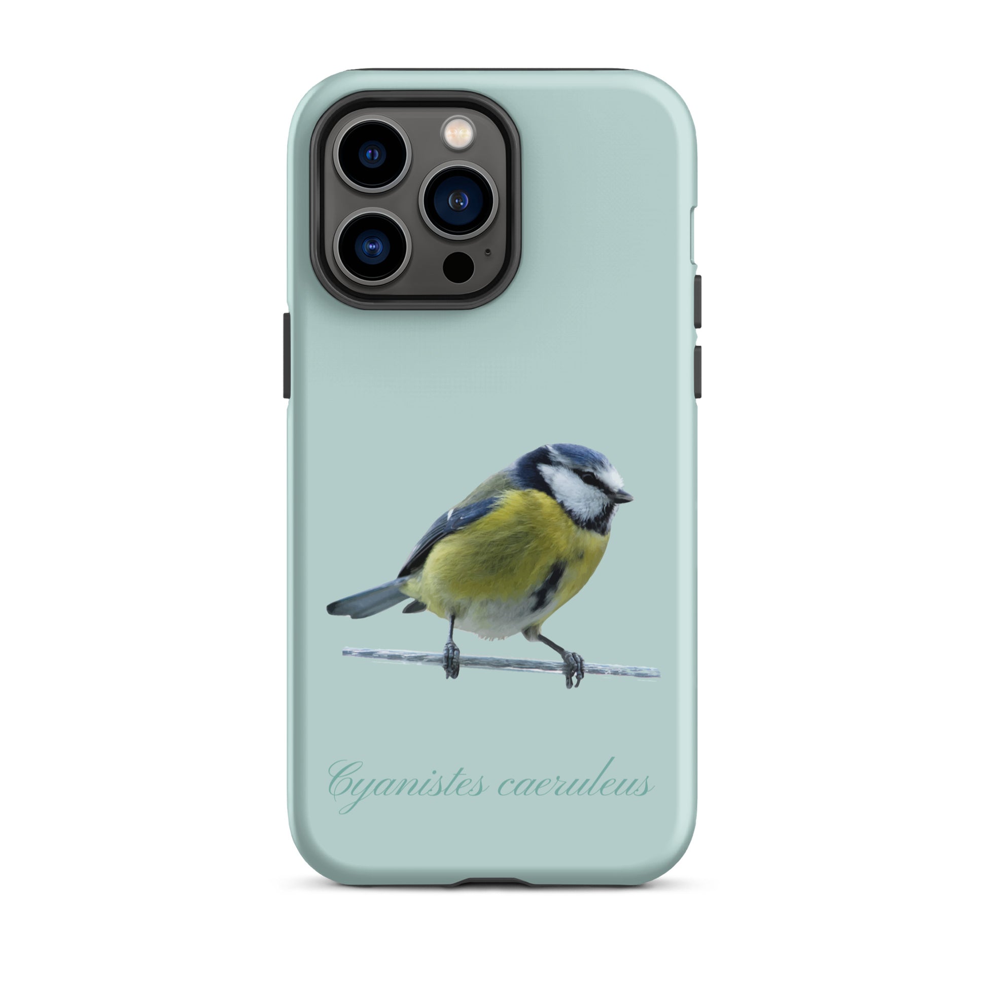Schutzhülle für Apple iPhone: iPhone Case - Blaumeise - Hellblau 