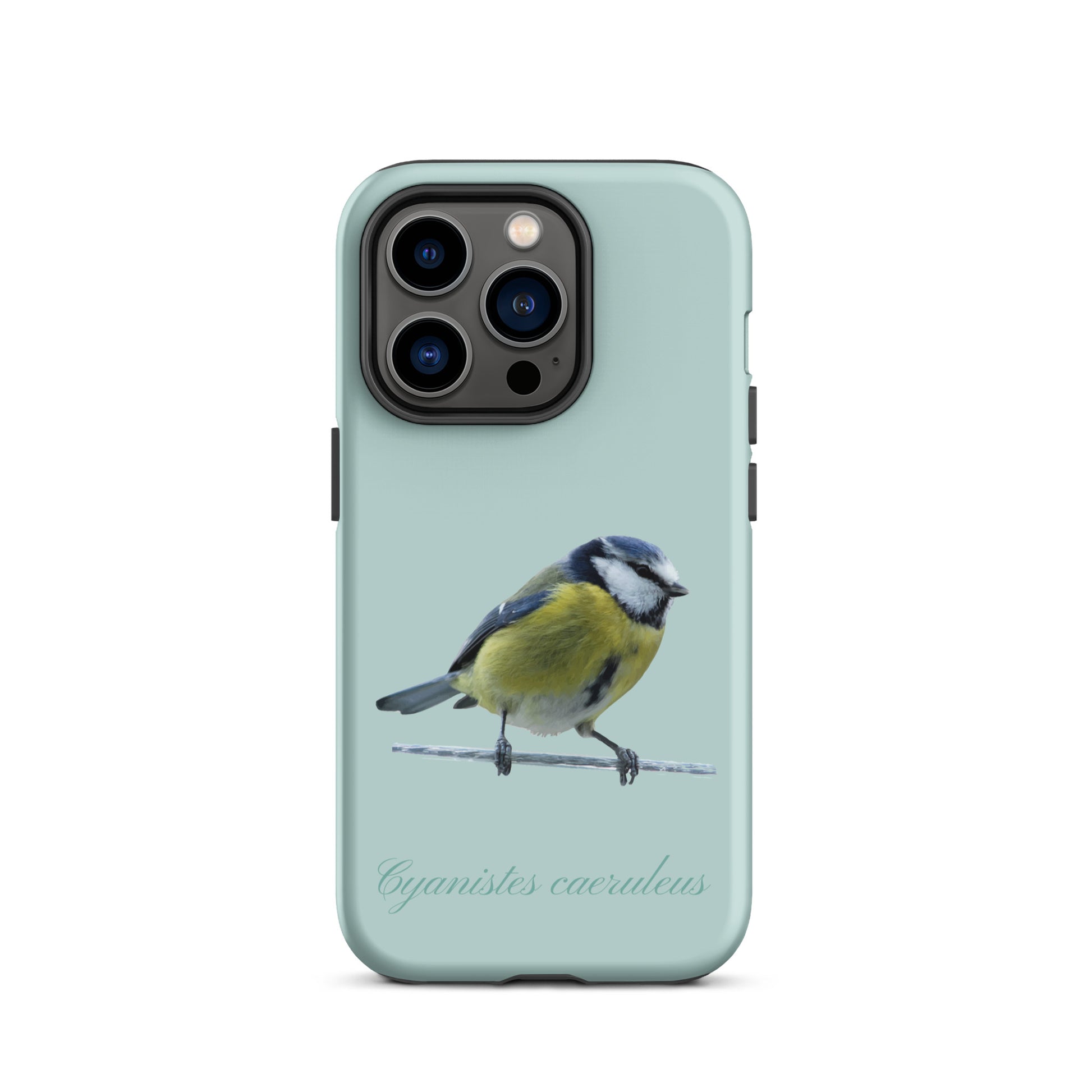 Schutzhülle für Apple iPhone: iPhone Case - Blaumeise - Hellblau 