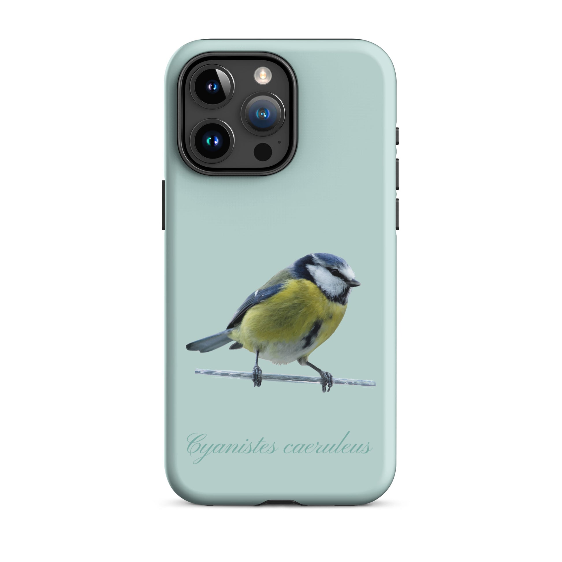 Schutzhülle für Apple iPhone: iPhone Case - Blaumeise - Hellblau 