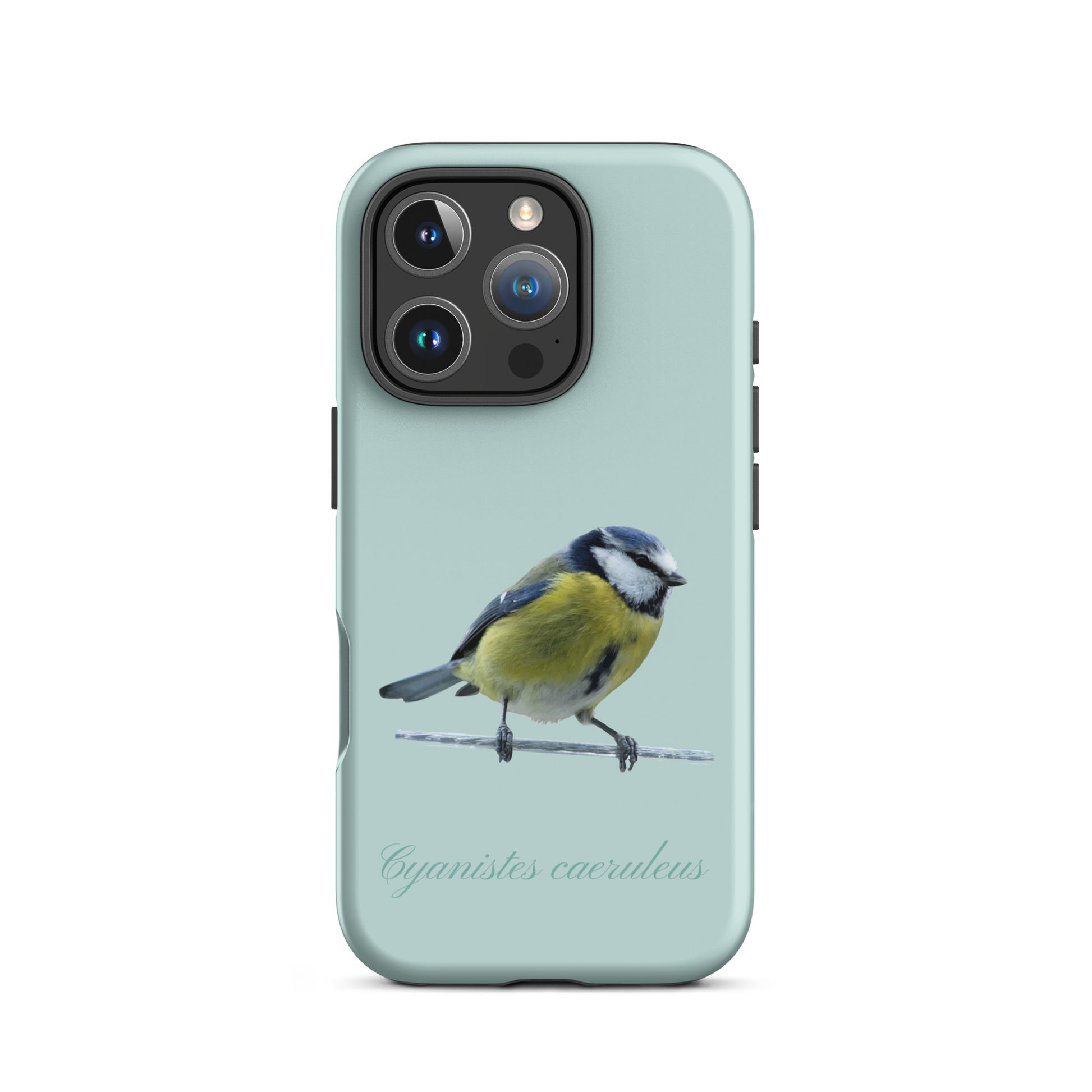 Schutzhülle für Apple iPhone: iPhone Case - Blaumeise - Hellblau 