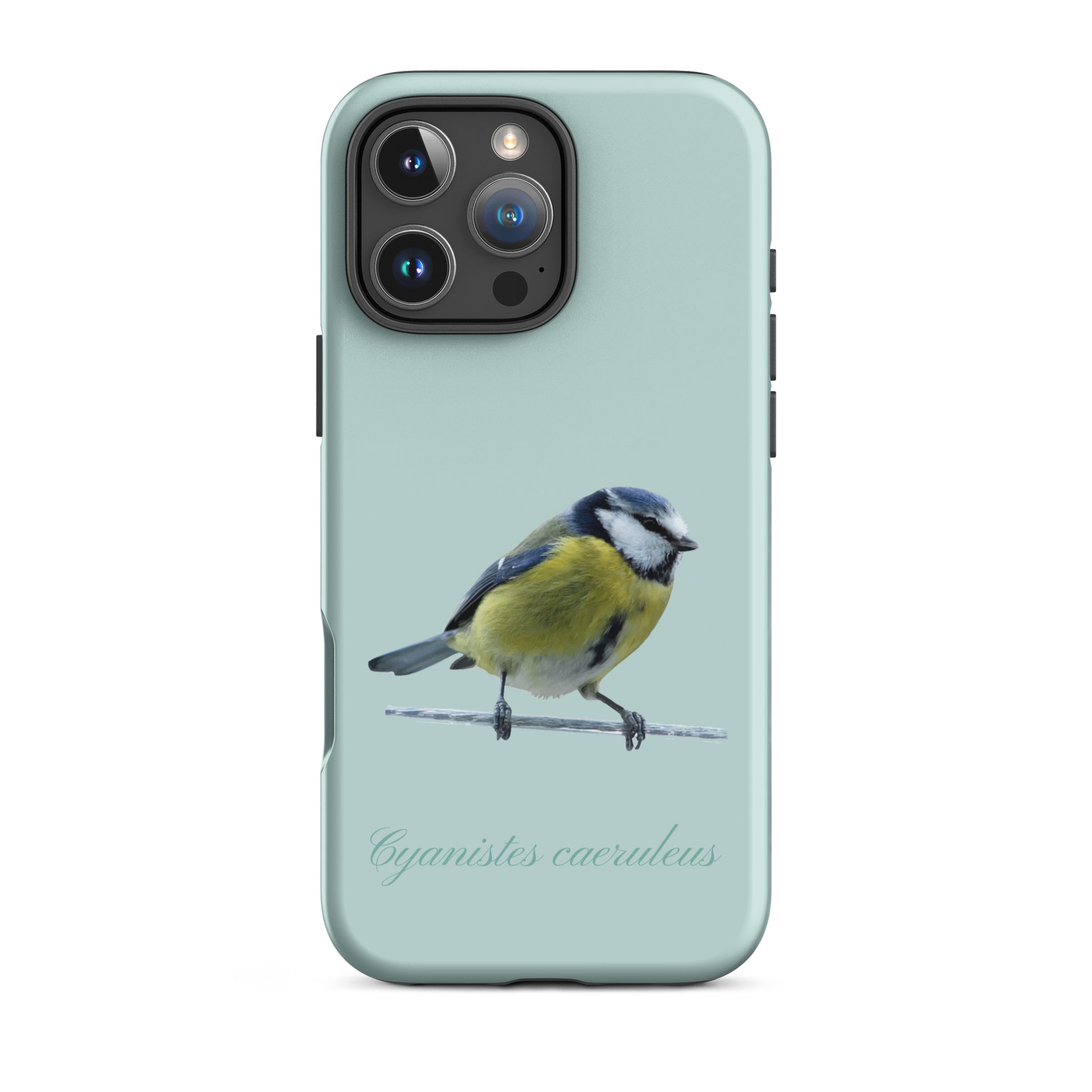Schutzhülle für Apple iPhone: iPhone Case - Blaumeise - Hellblau 