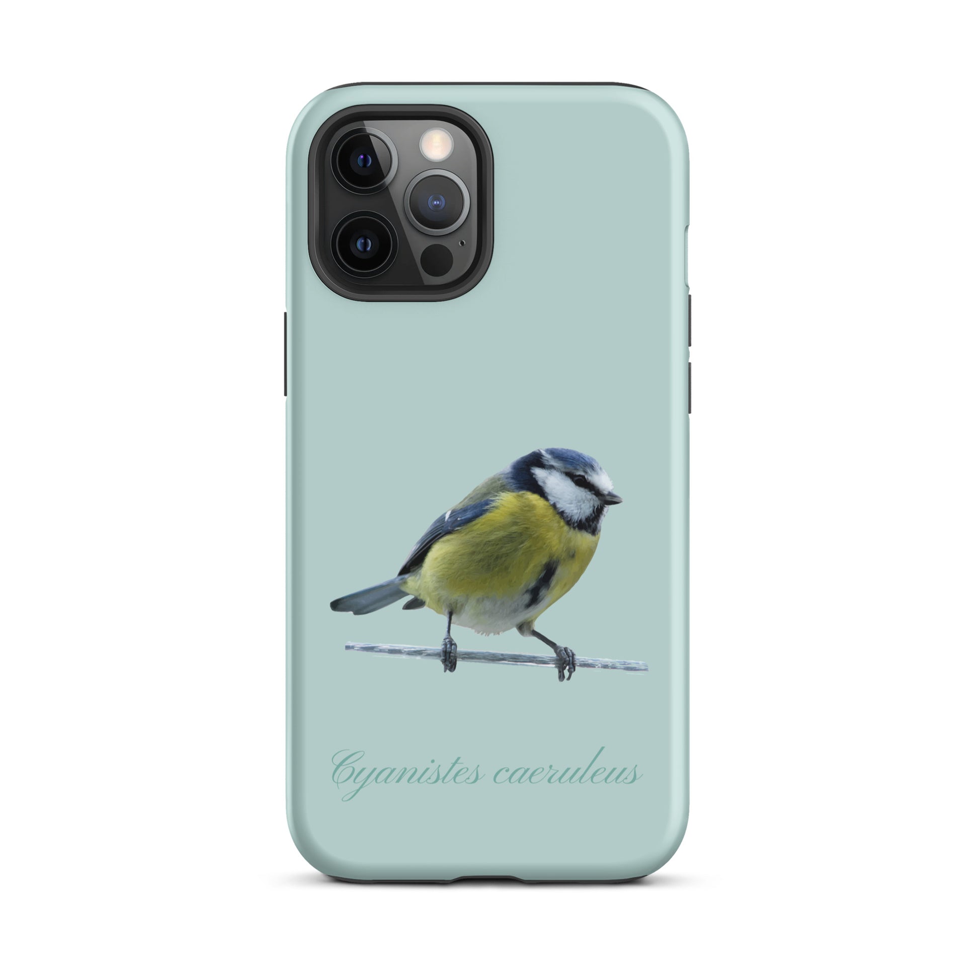 Schutzhülle für Apple iPhone: iPhone Case - Blaumeise - Hellblau 