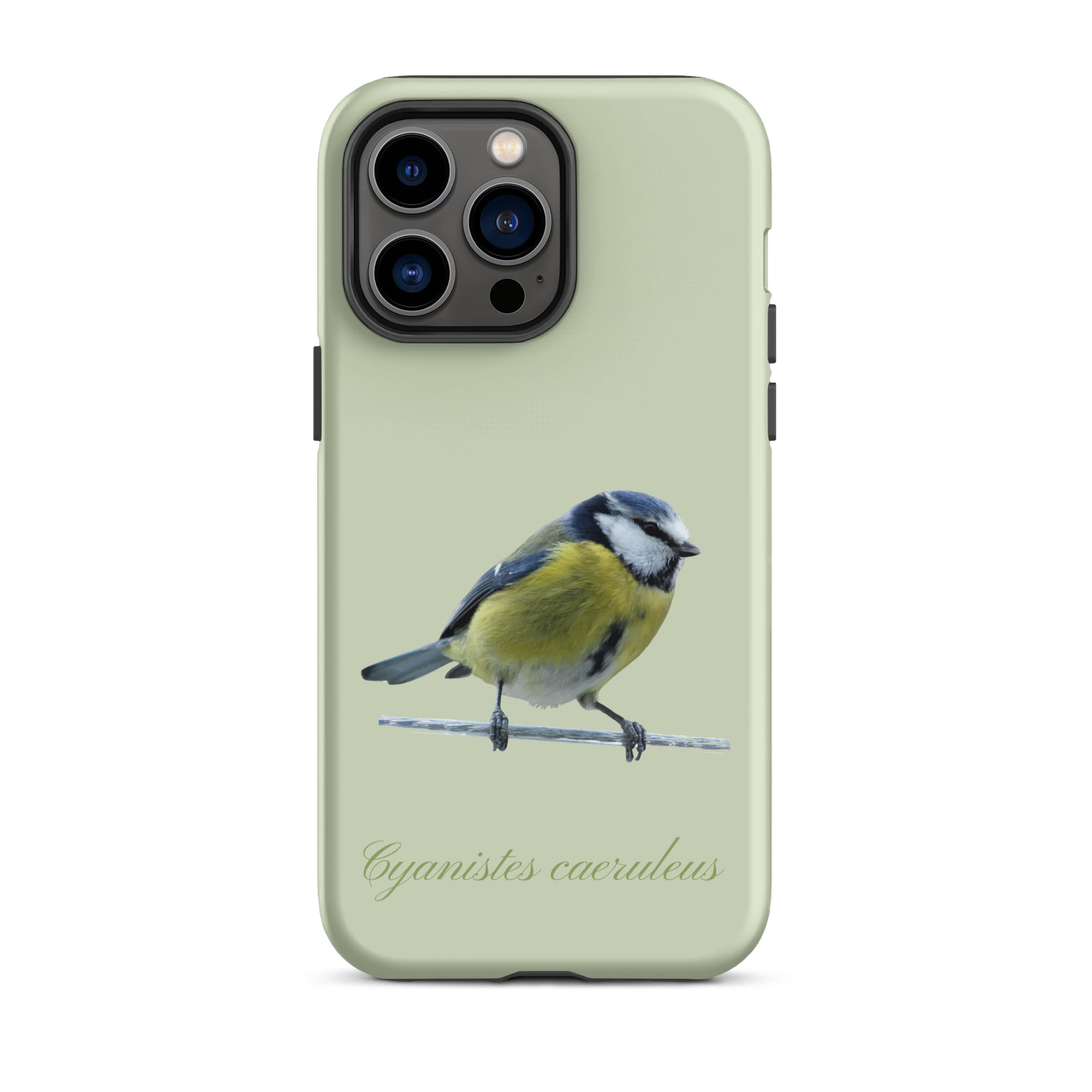 Schutzhülle für Apple iPhone: iPhone Case - Blaumeise - Hellgrün 