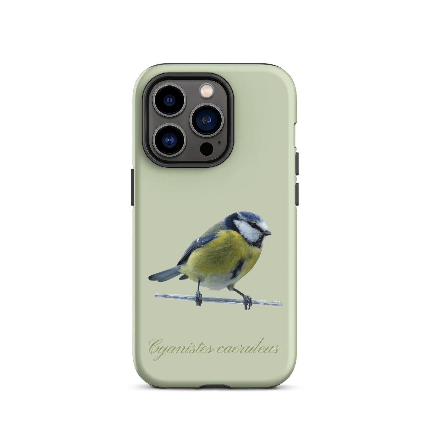 Schutzhülle für Apple iPhone: iPhone Case - Blaumeise - Hellgrün 